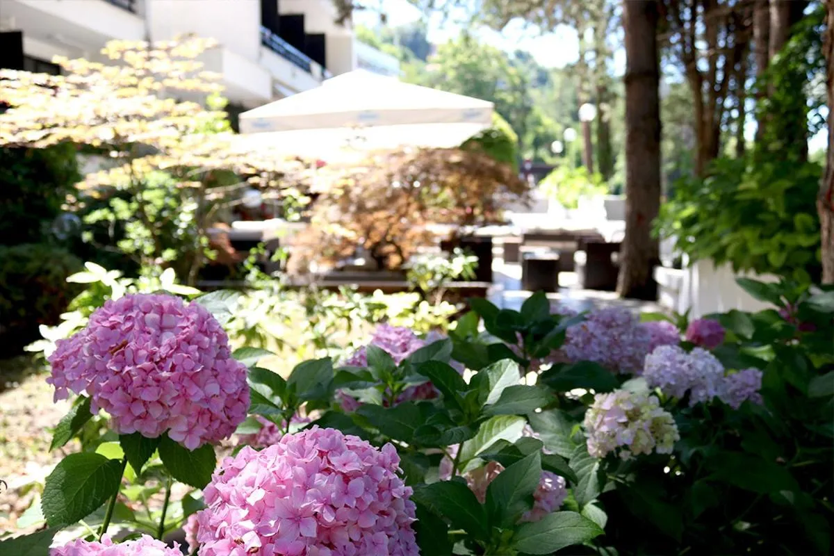 Balcony/Terrace in Hotel Pela