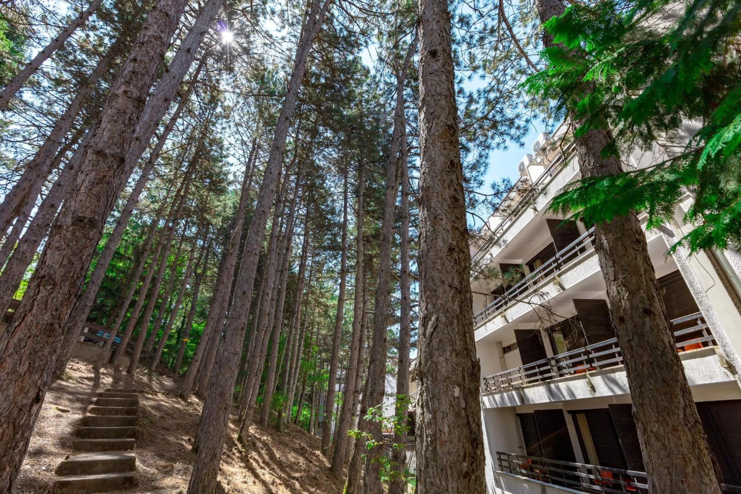 Property building in Hotel Pela