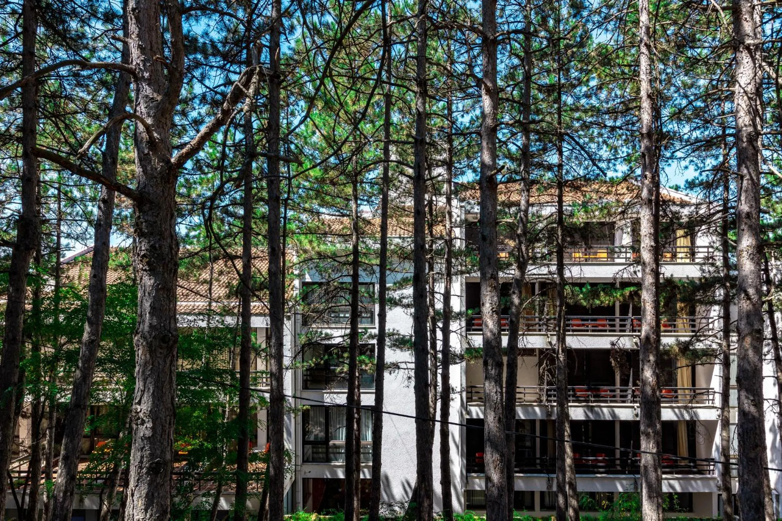 Neighbourhood in Hotel Pela