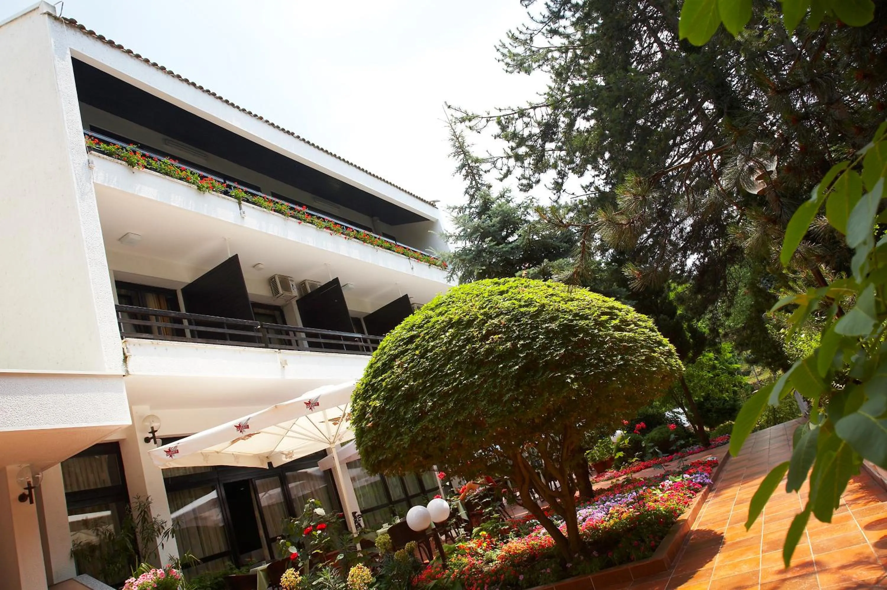 Property building in Hotel Pela