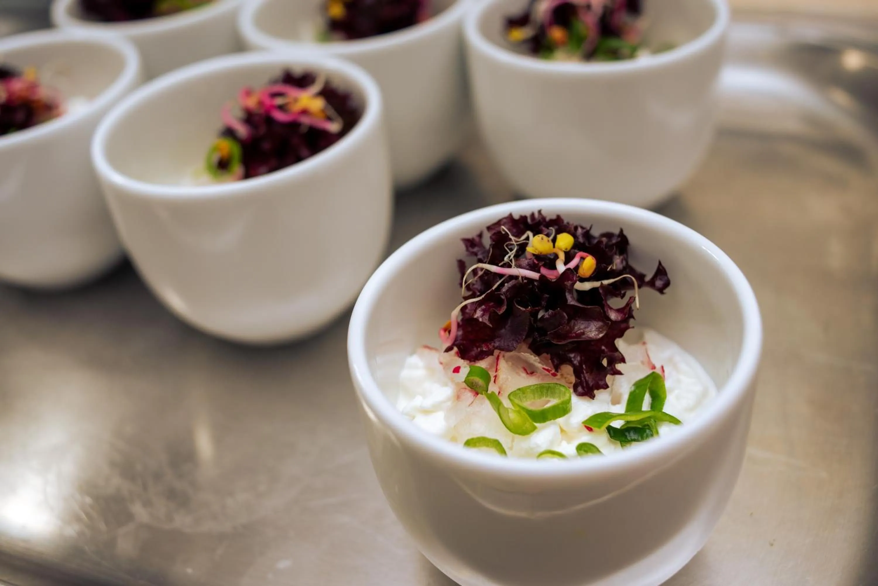 Food and drinks in Hotel Logos