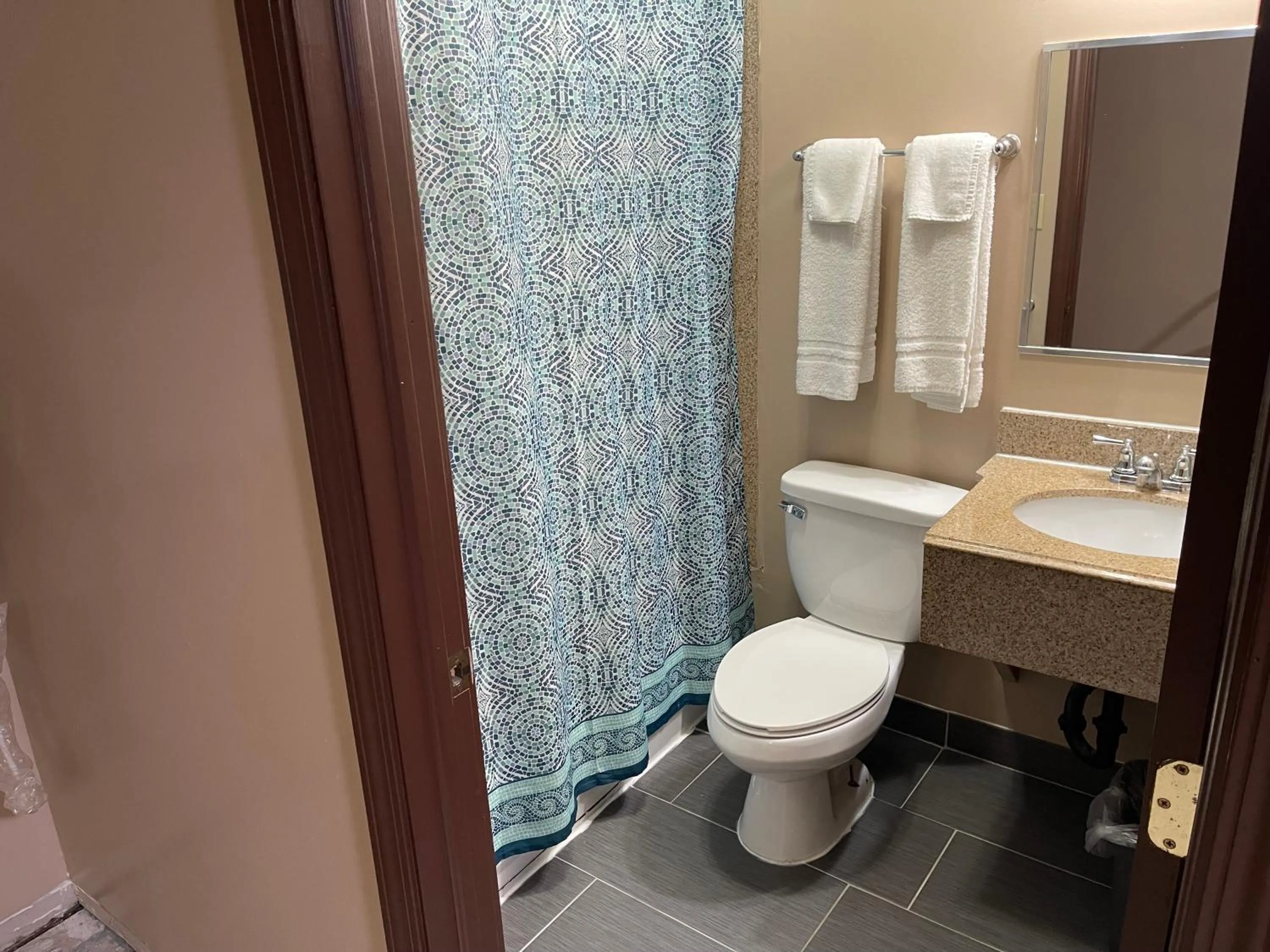 Bathroom in Economy Inn & Suites