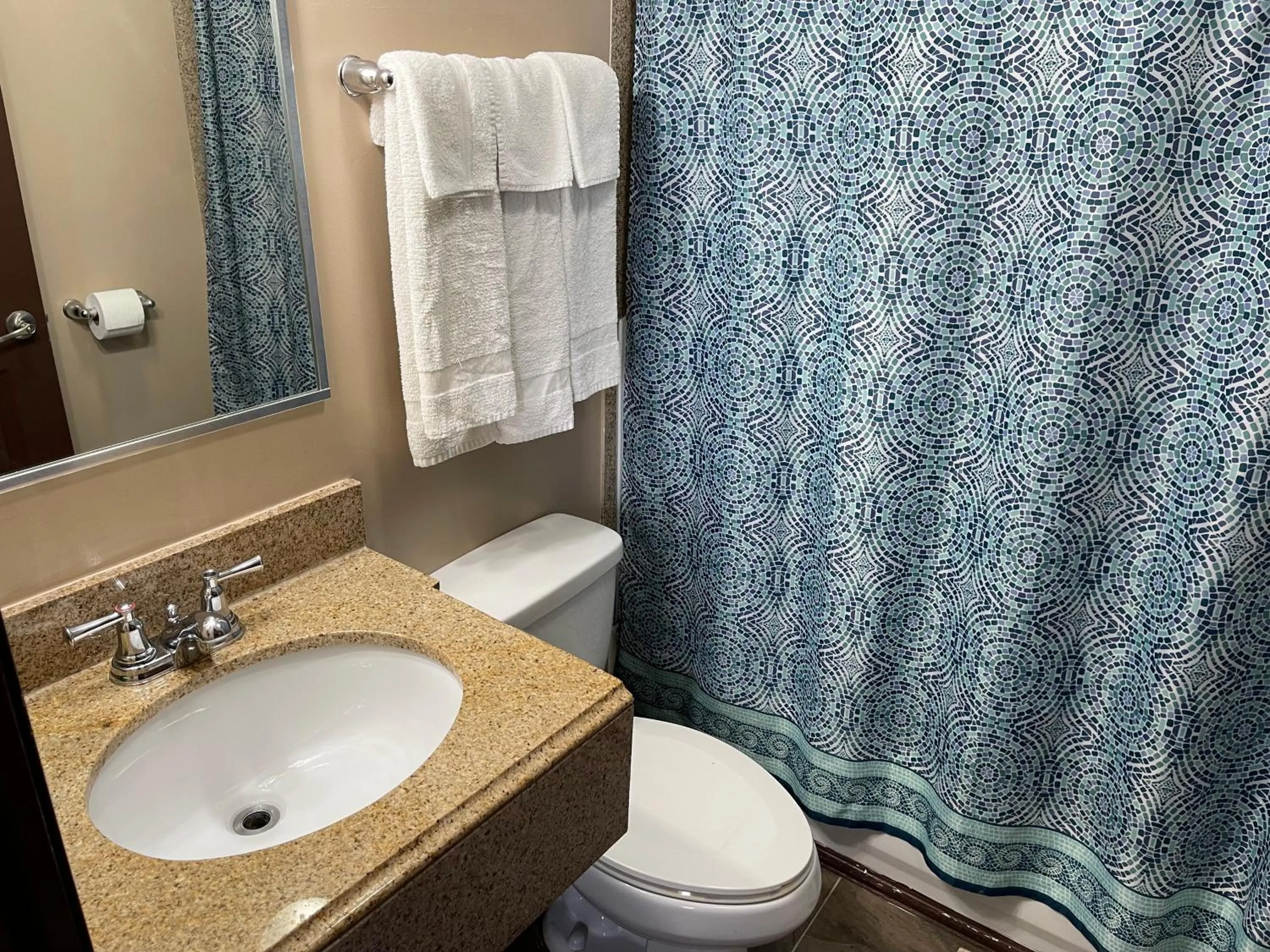 Bathroom in Economy Inn & Suites