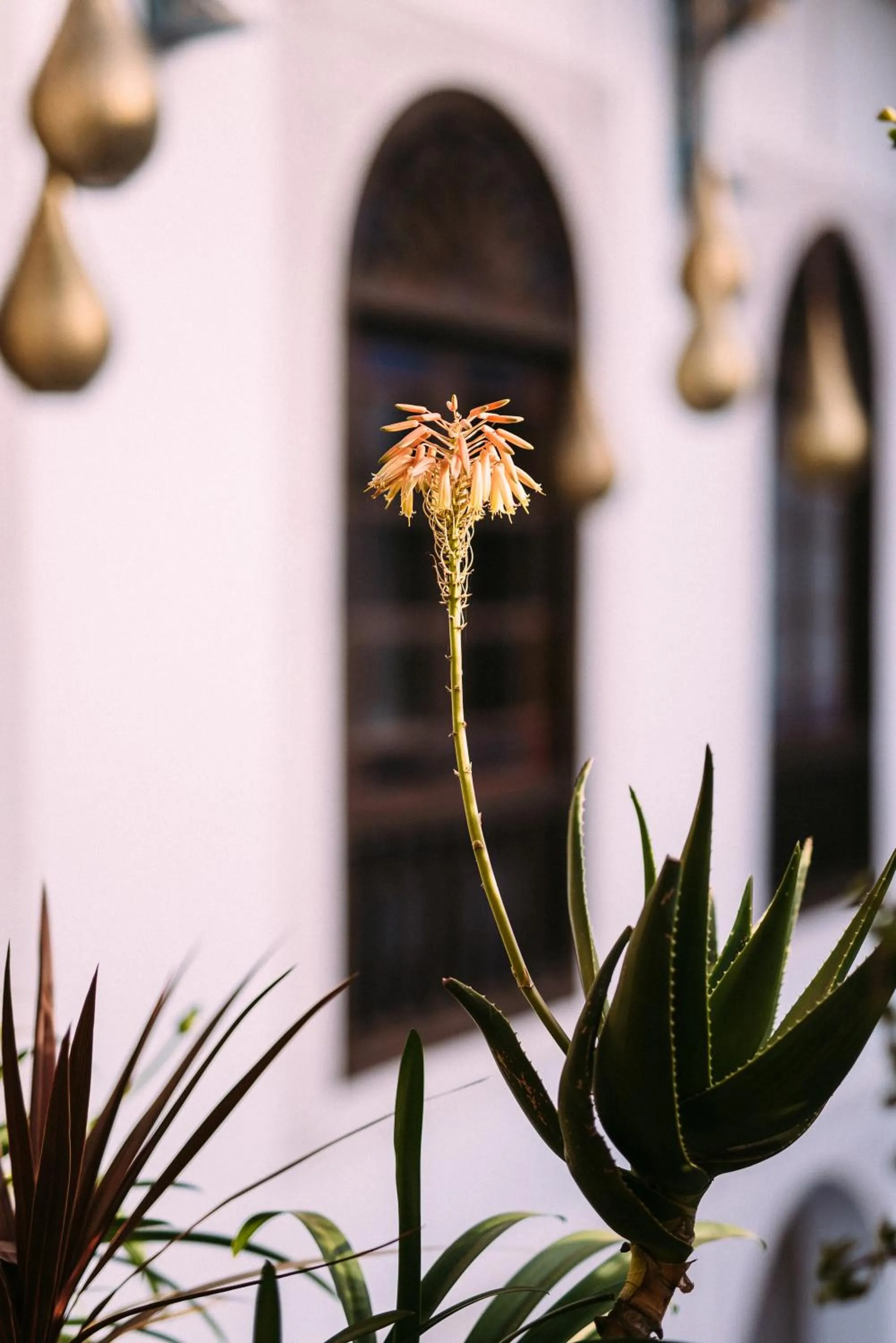 Decorative detail in Riad Maison Bleue and Spa