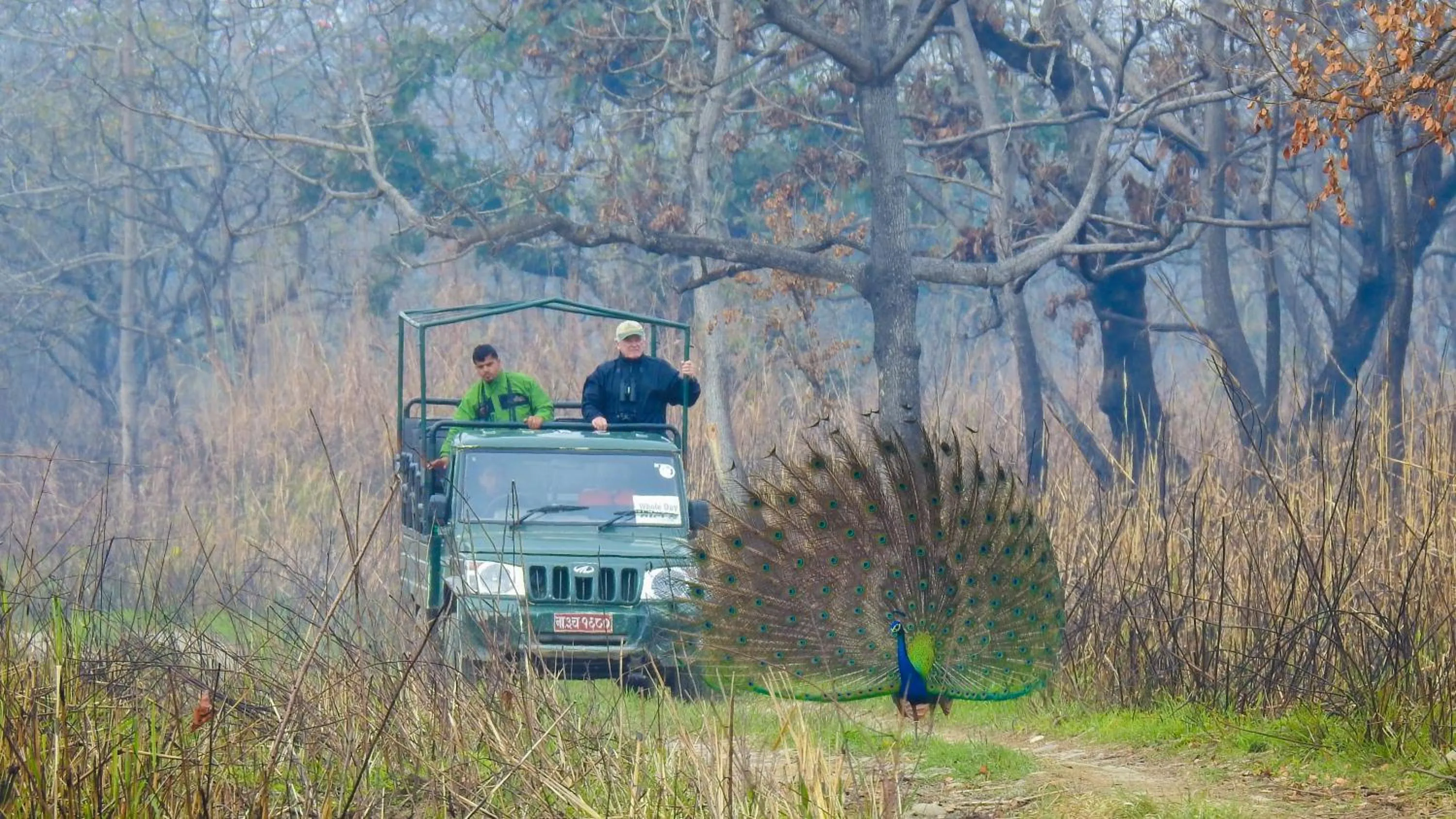 Activities in Sapana Village Lodge