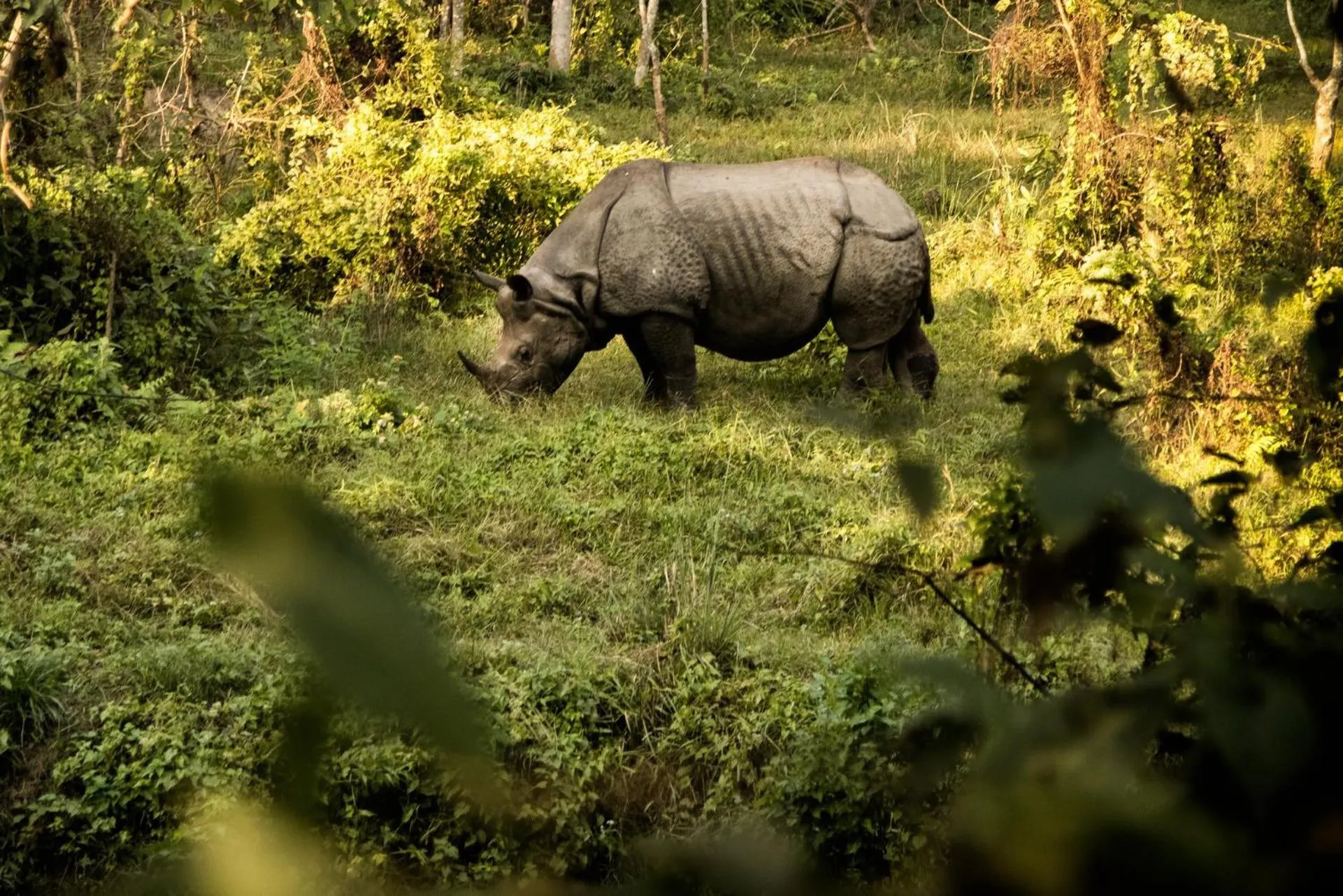 Activities in Sapana Village Lodge