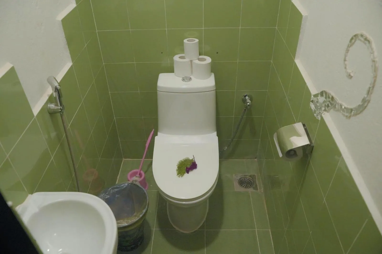 Toilet in Sapana Village Lodge