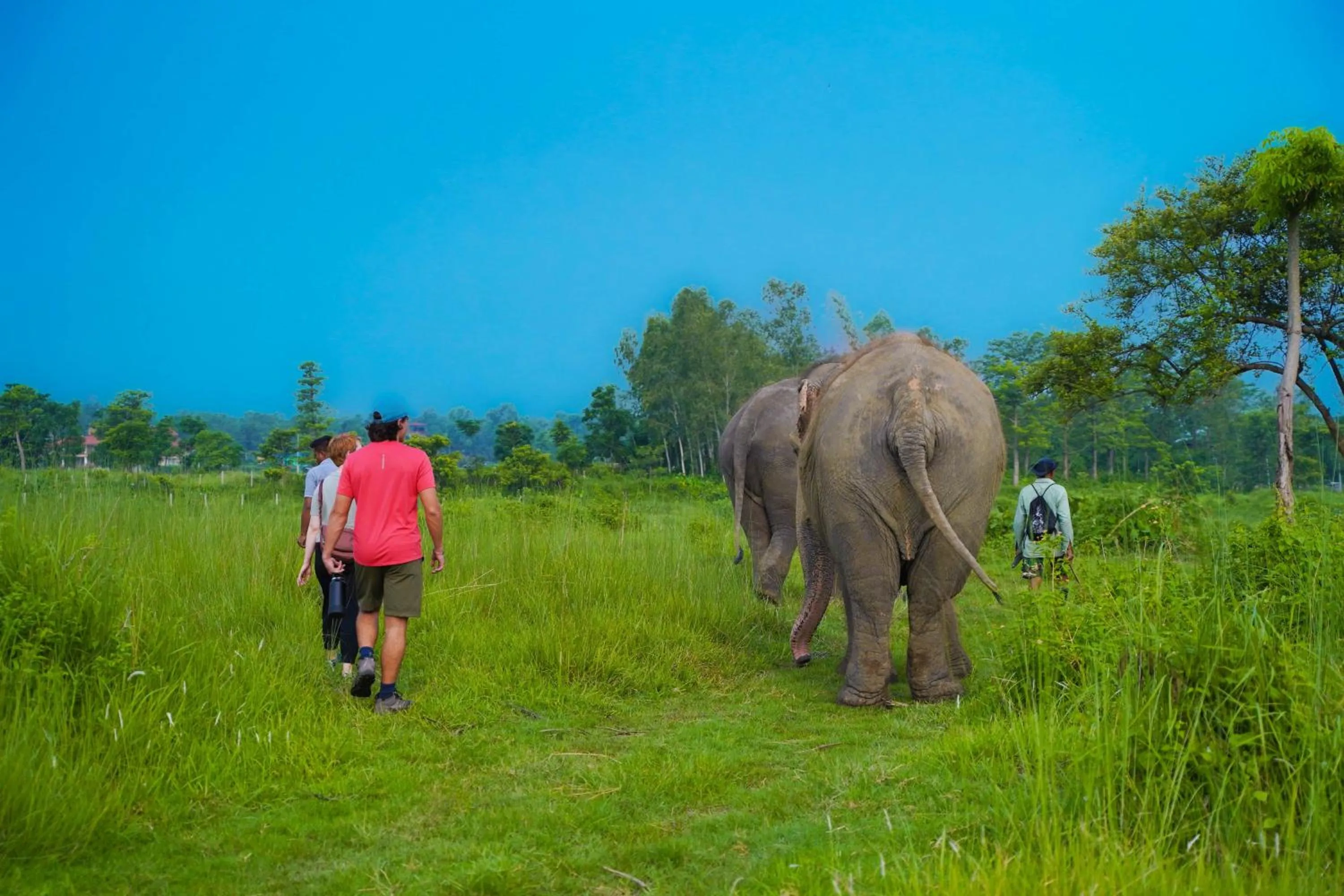 Activities in Sapana Village Lodge