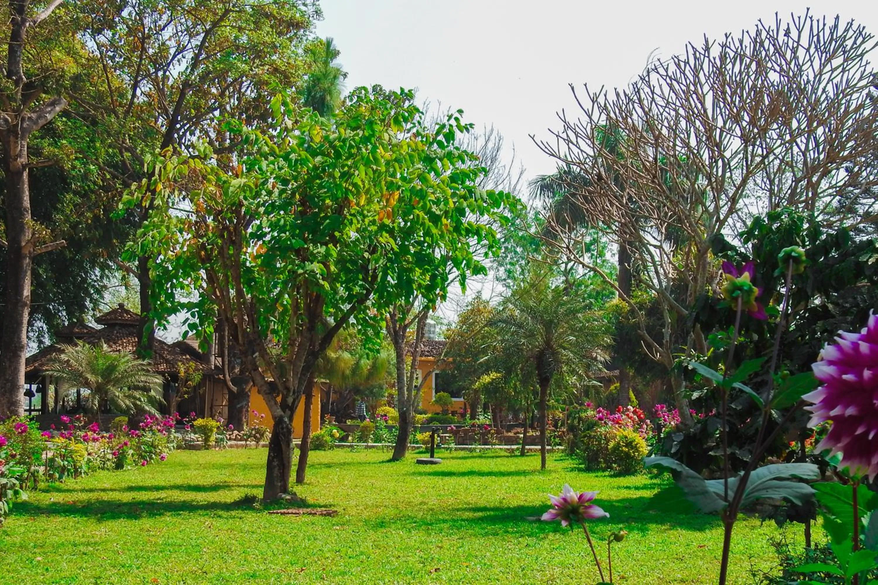 Garden in Sapana Village Lodge
