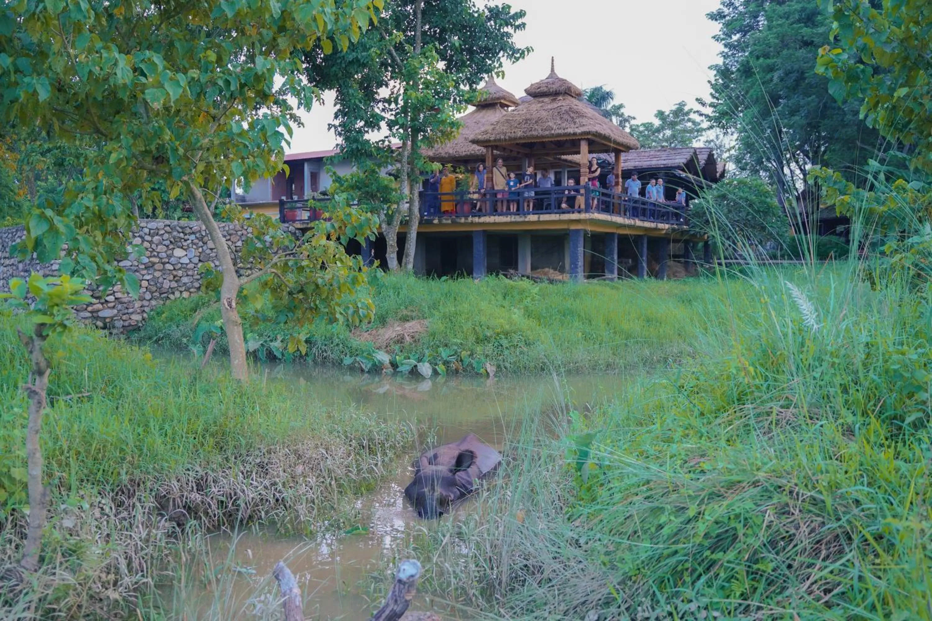 Restaurant/places to eat in Sapana Village Lodge