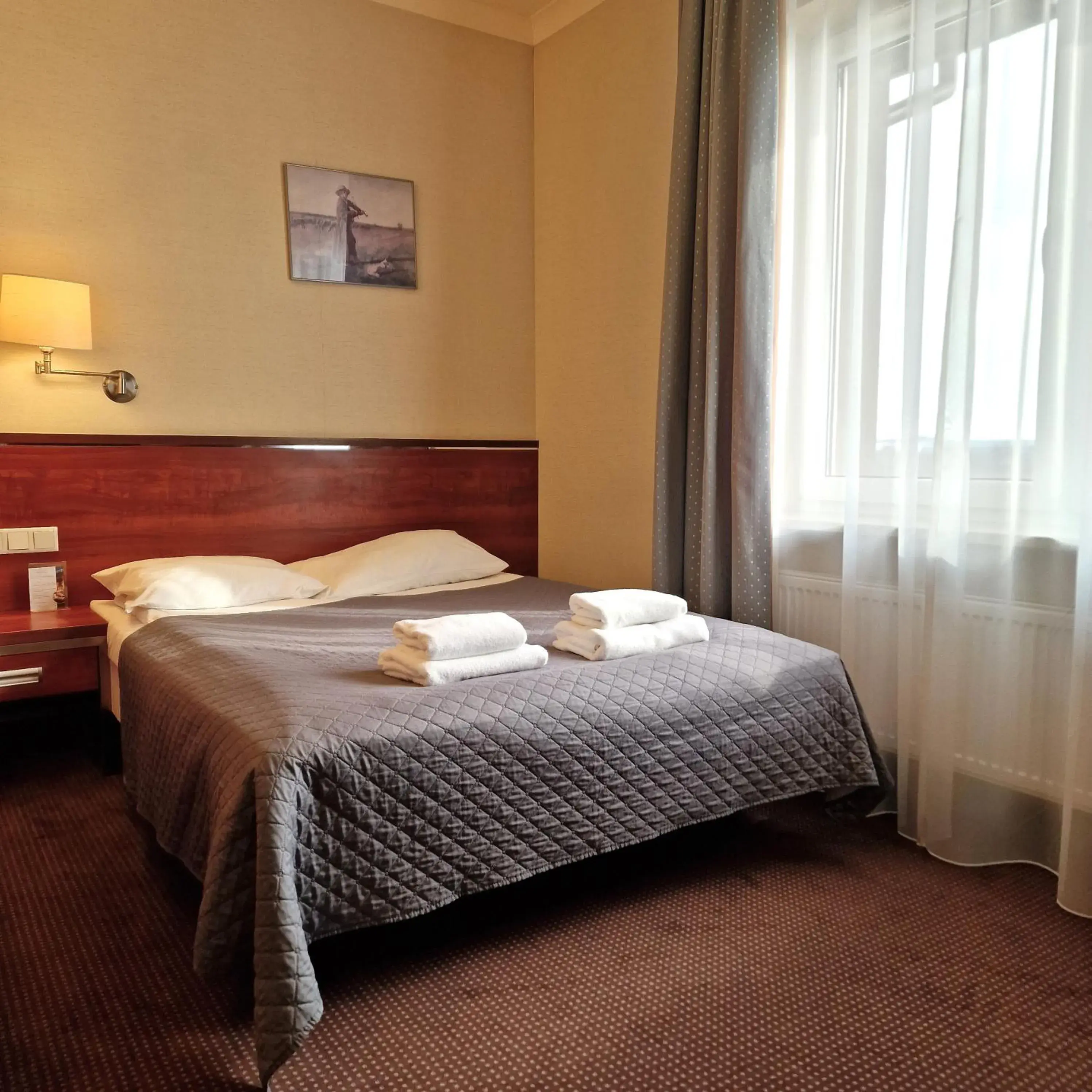 Single Room in Hotel Panorama Single Room in Hotel Panorama