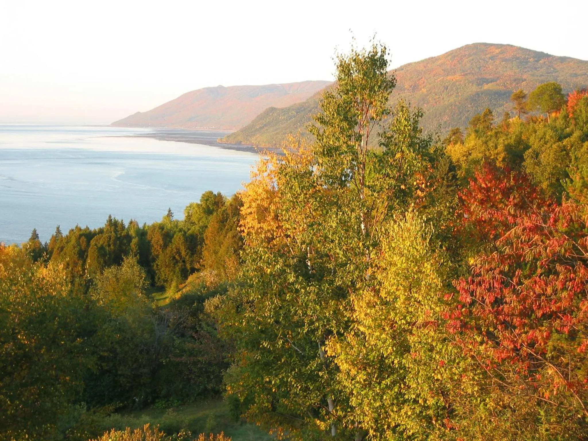 View (from property/room) in Auberge Cap aux Corbeaux