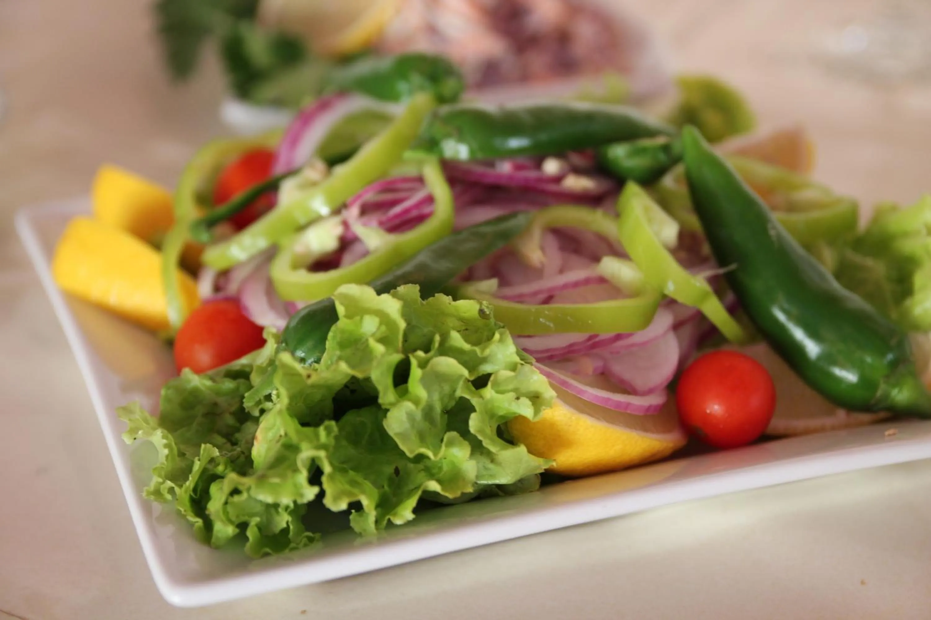 Food in Karlovo Hotel