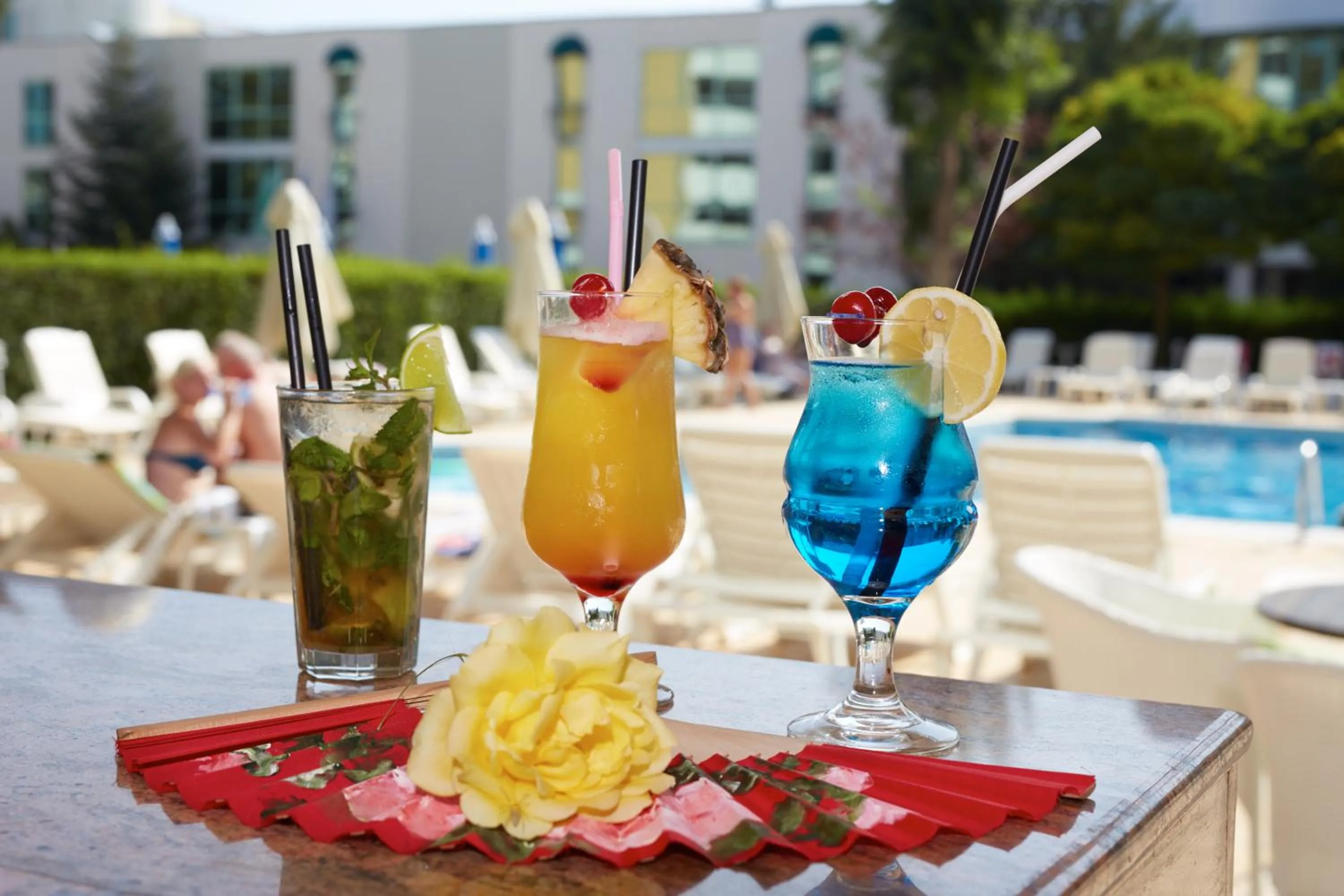 Alcoholic drinks in Karlovo Hotel