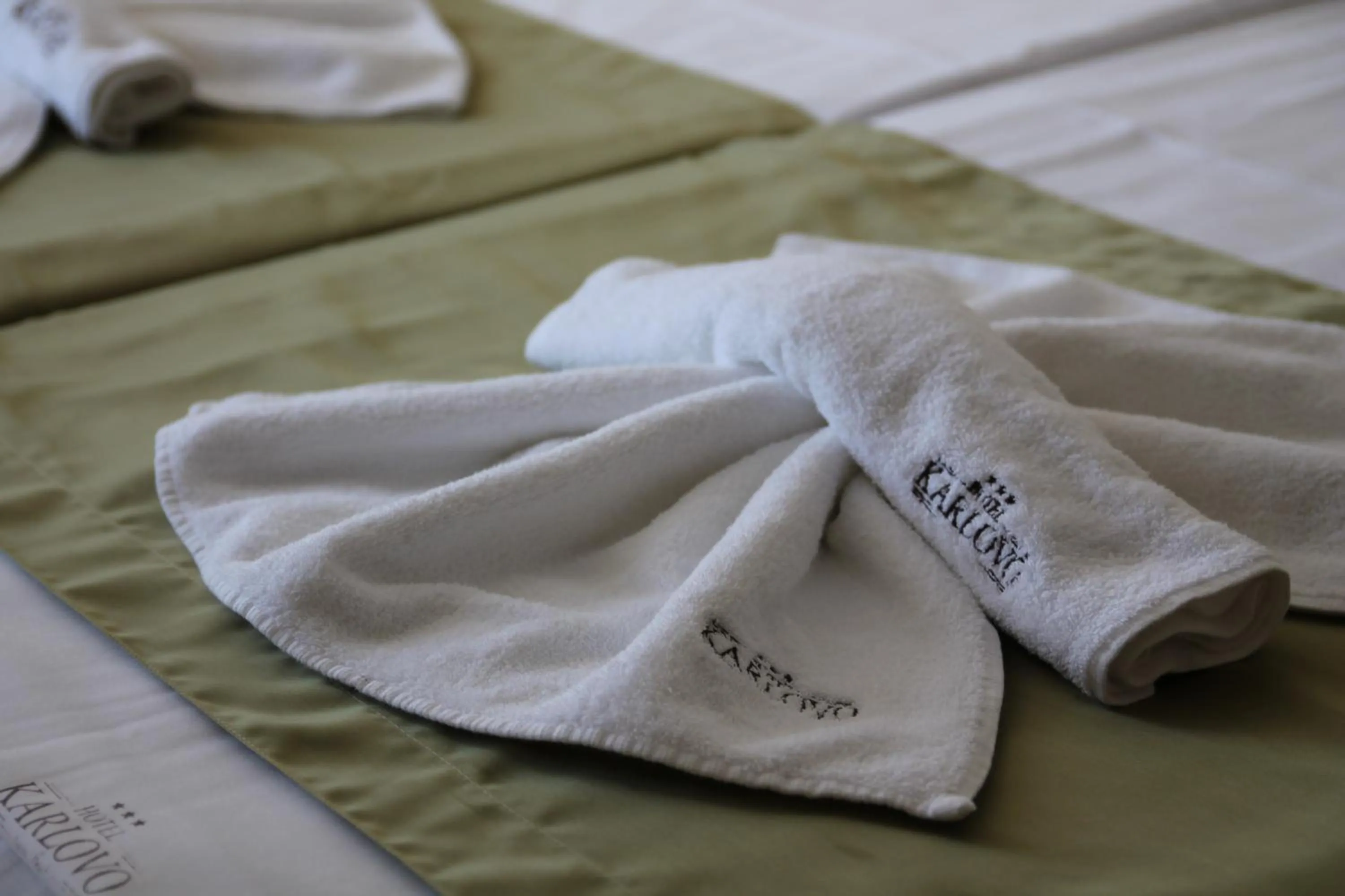 Bed in Karlovo Hotel