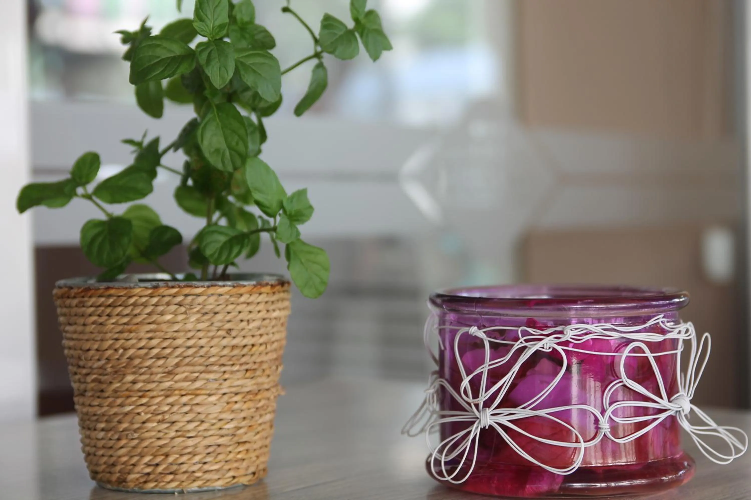 Other in Karlovo Hotel