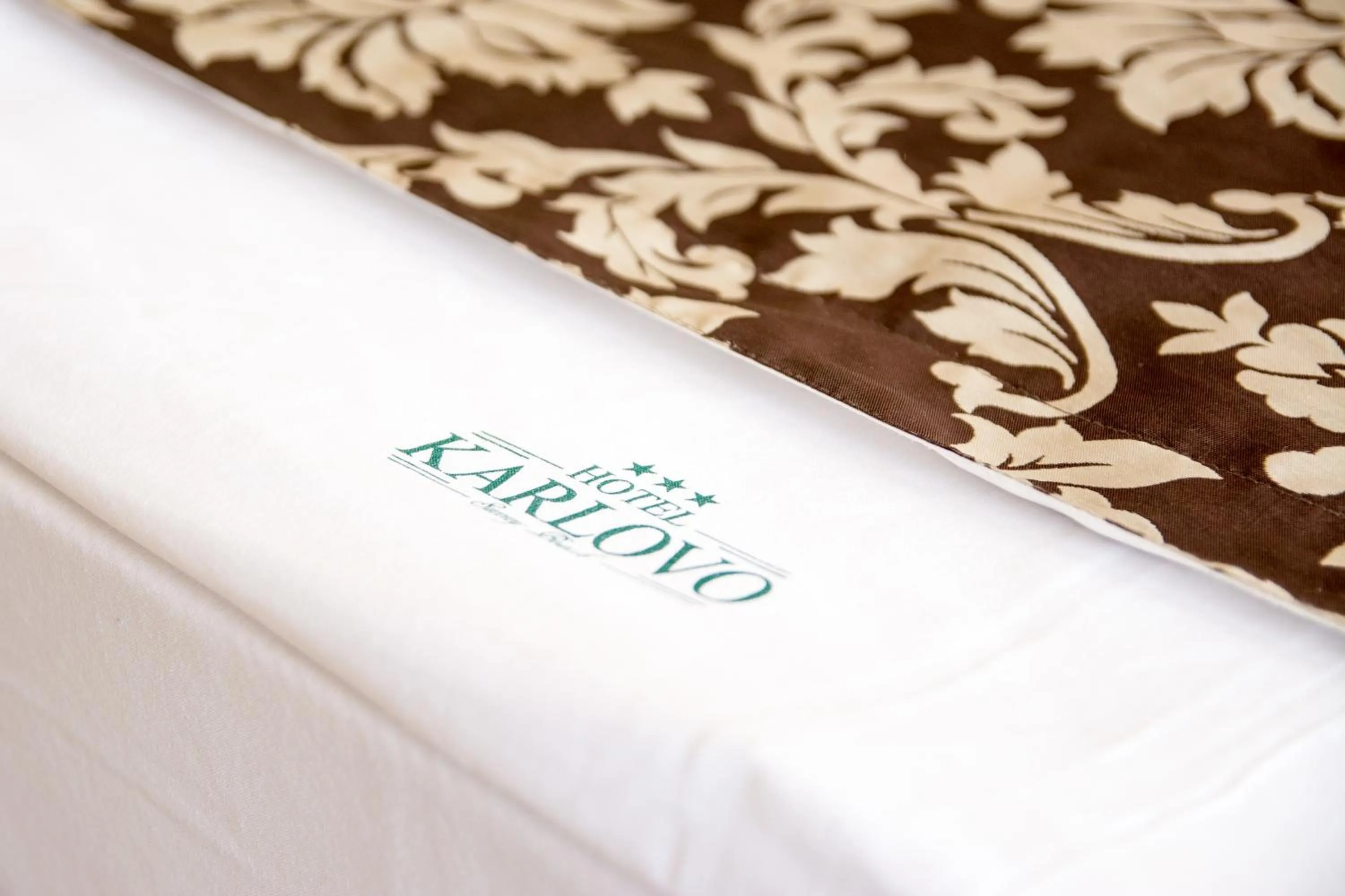 Photo of the whole room, Bed in Karlovo Hotel