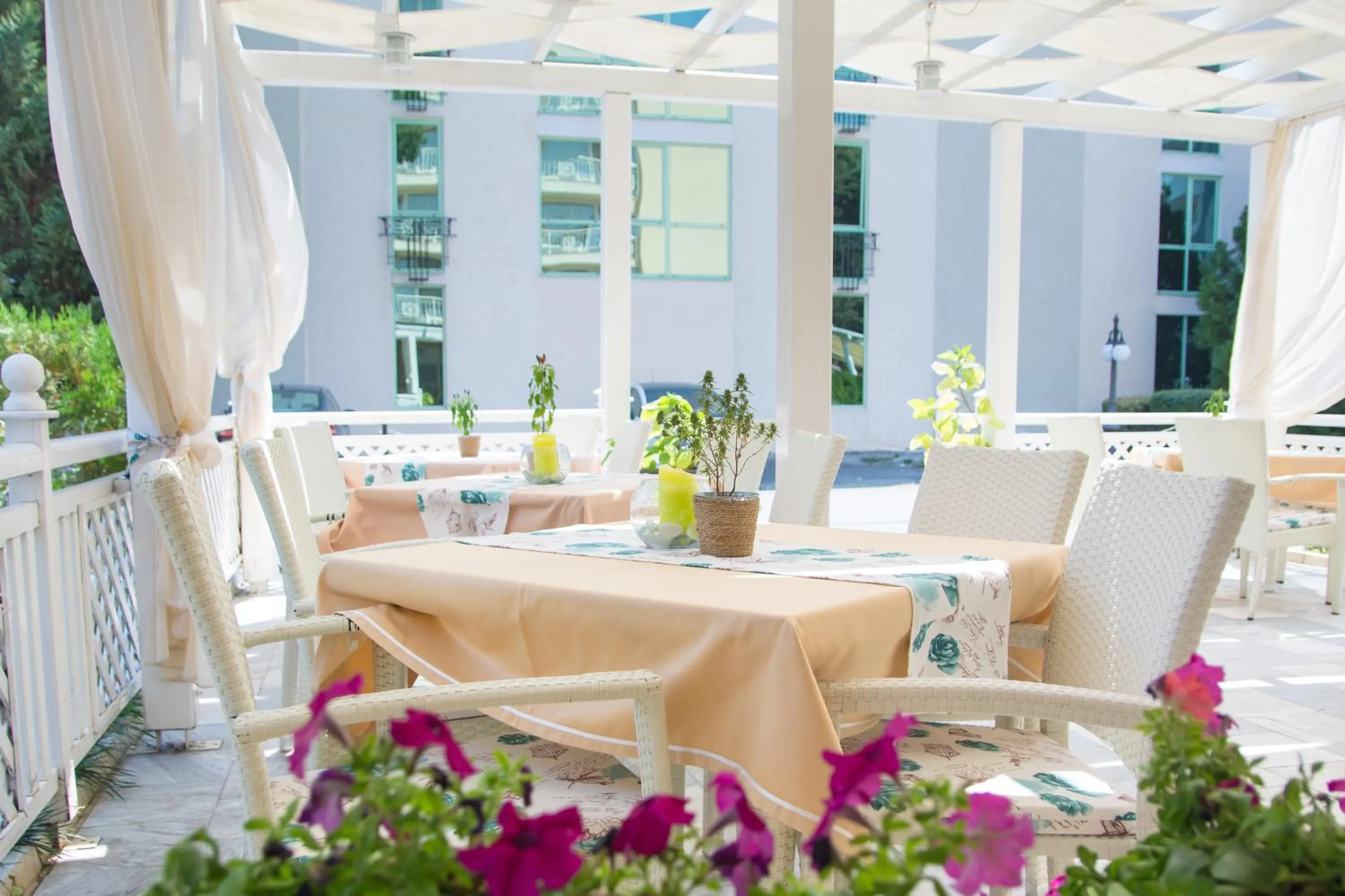 Garden in Karlovo Hotel