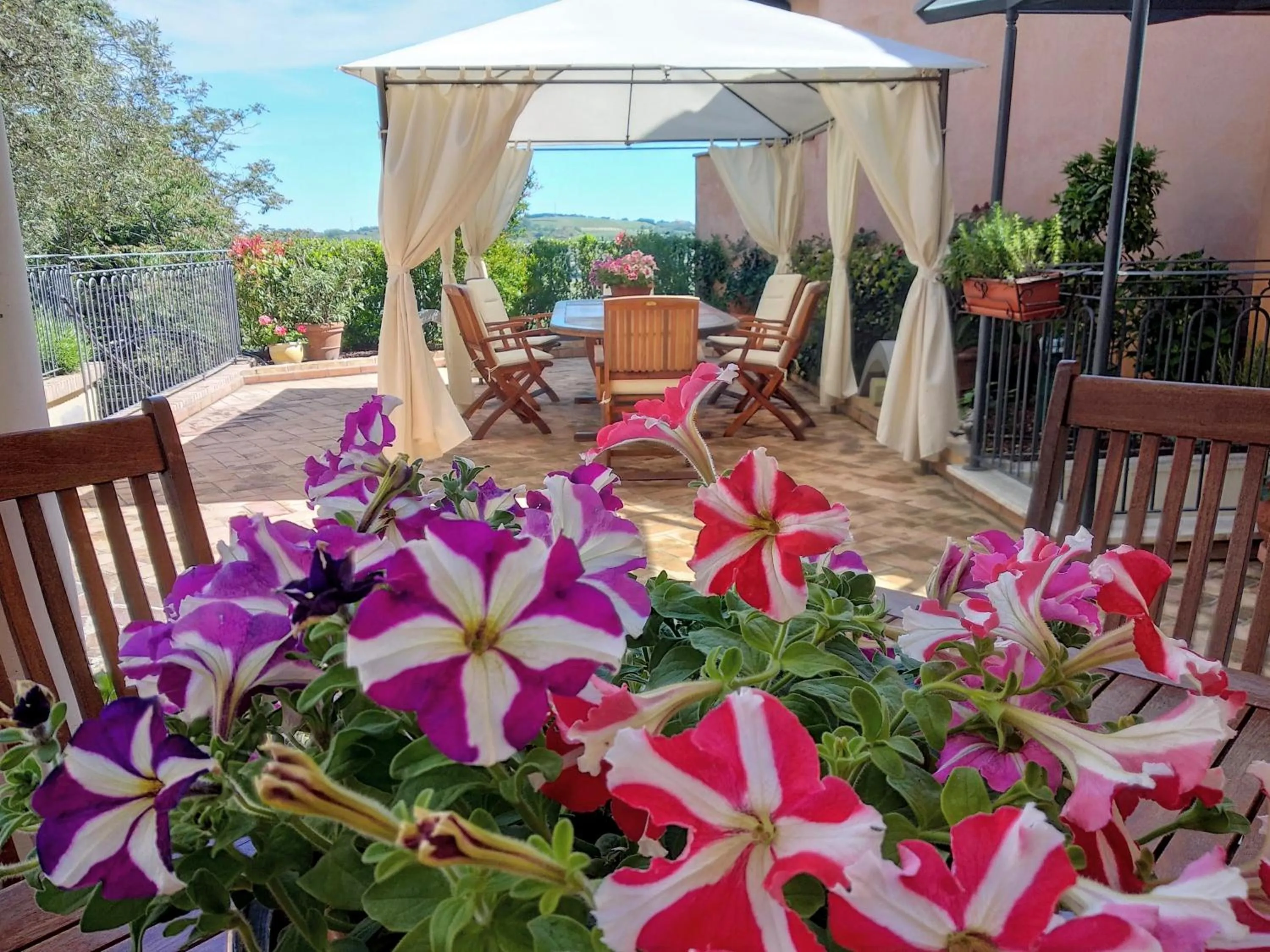 Patio in B&B Palazzo Mestichelli Boutique Palace