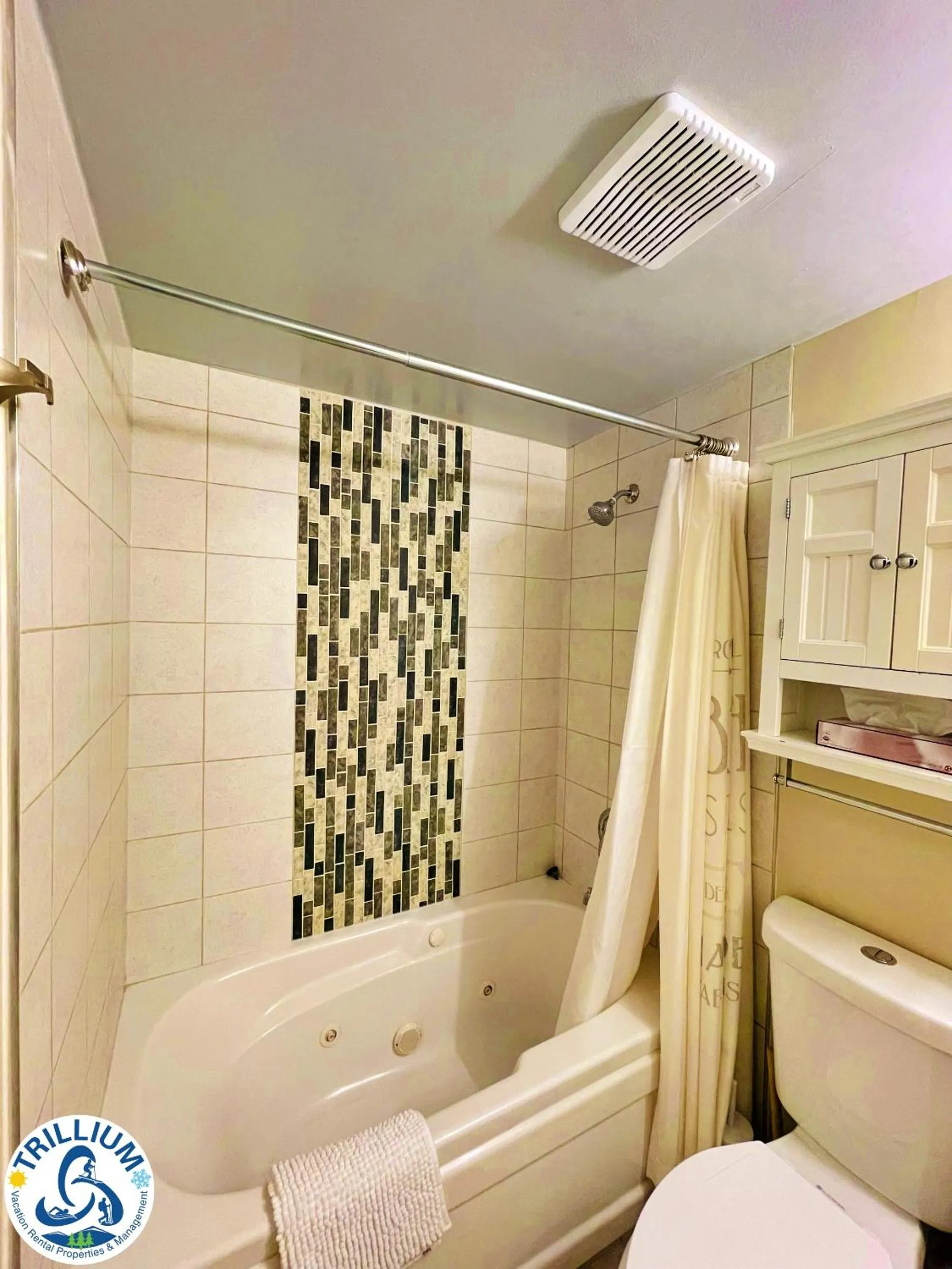 Rustic Mountainside Chalet