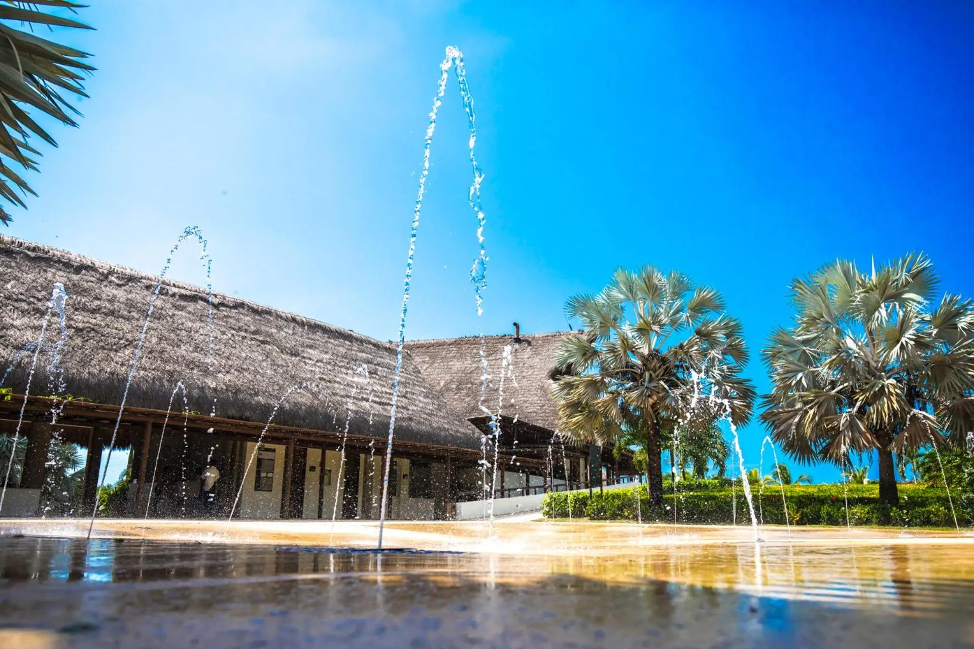 Patio in Estelar Playa Manzanillo - All inclusive