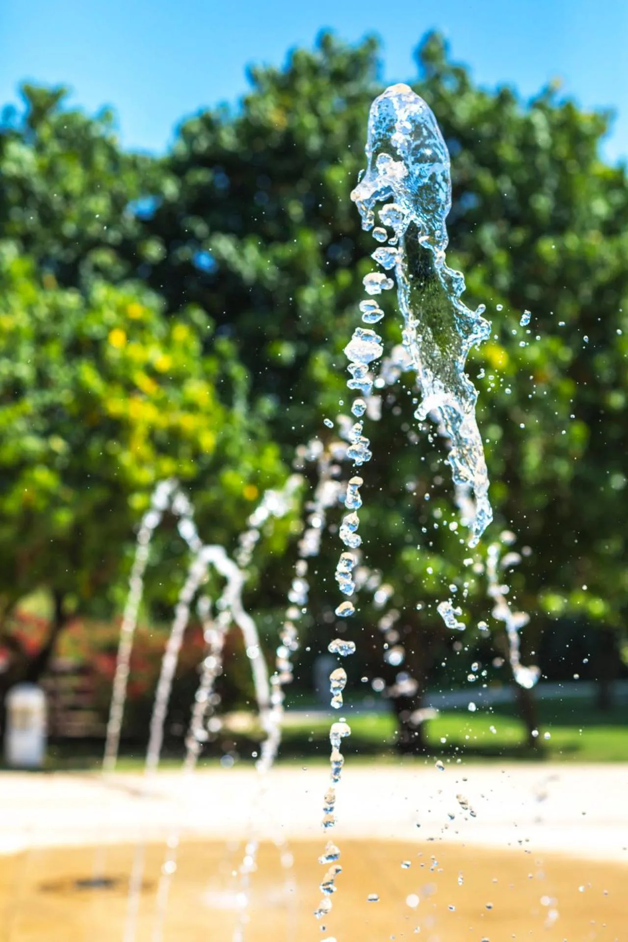 Other in Estelar Playa Manzanillo - All inclusive