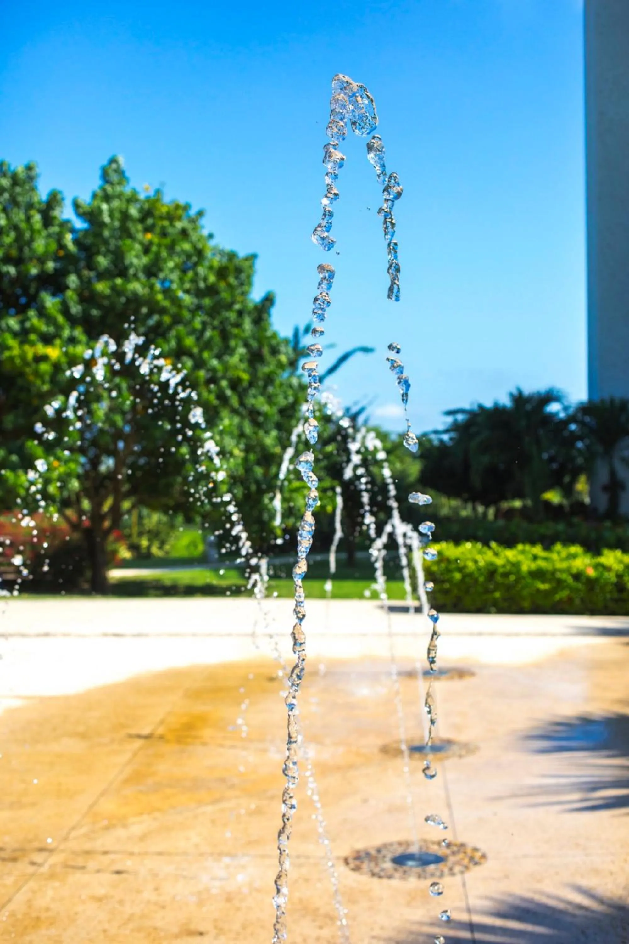 Other in Estelar Playa Manzanillo - All inclusive