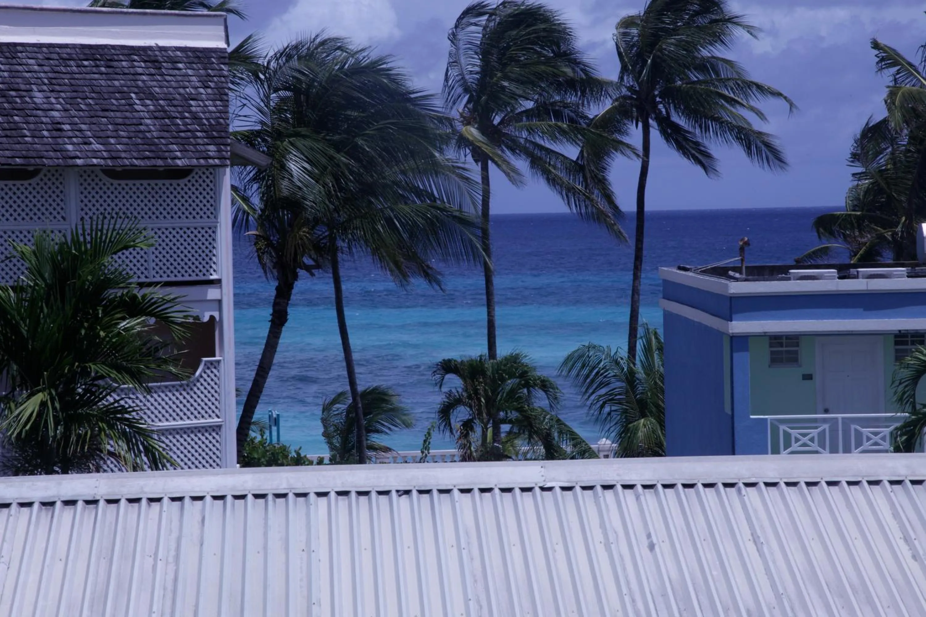 View (from property/room) in Meridian Inn