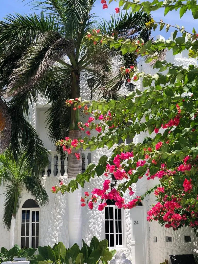 Spring in Le Castel Blanc Hotel Boutique