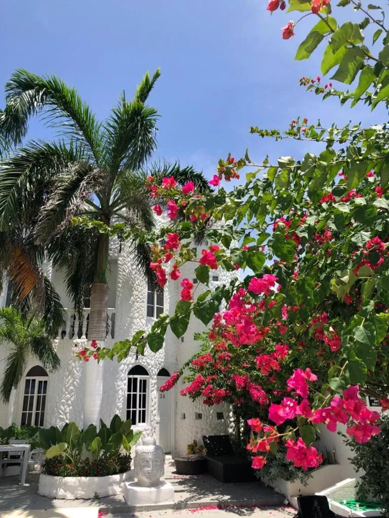 Garden in Le Castel Blanc Hotel Boutique