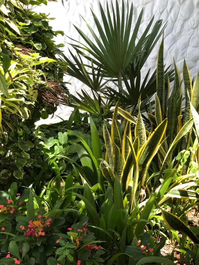 Garden in Le Castel Blanc Hotel Boutique