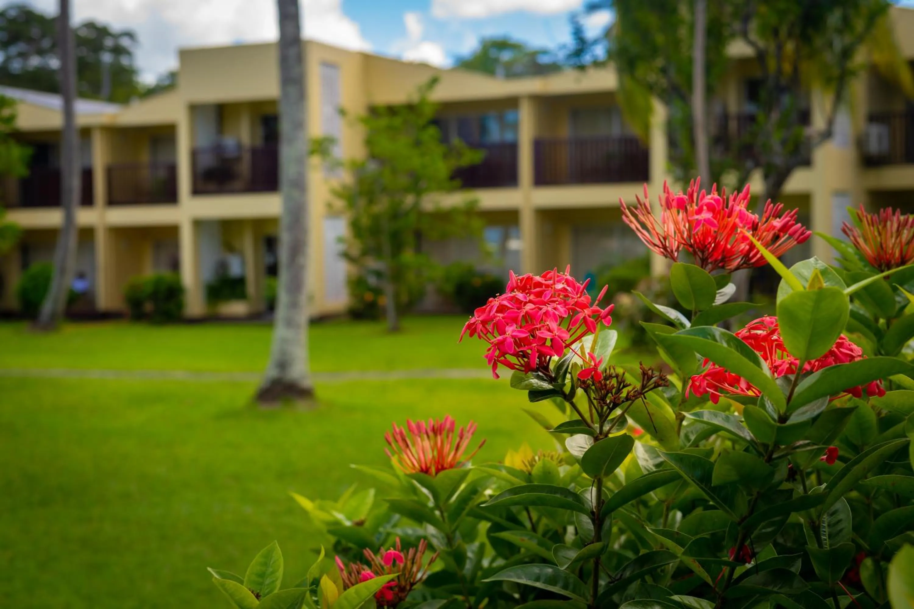 View (from property/room) in Starfish Tobago