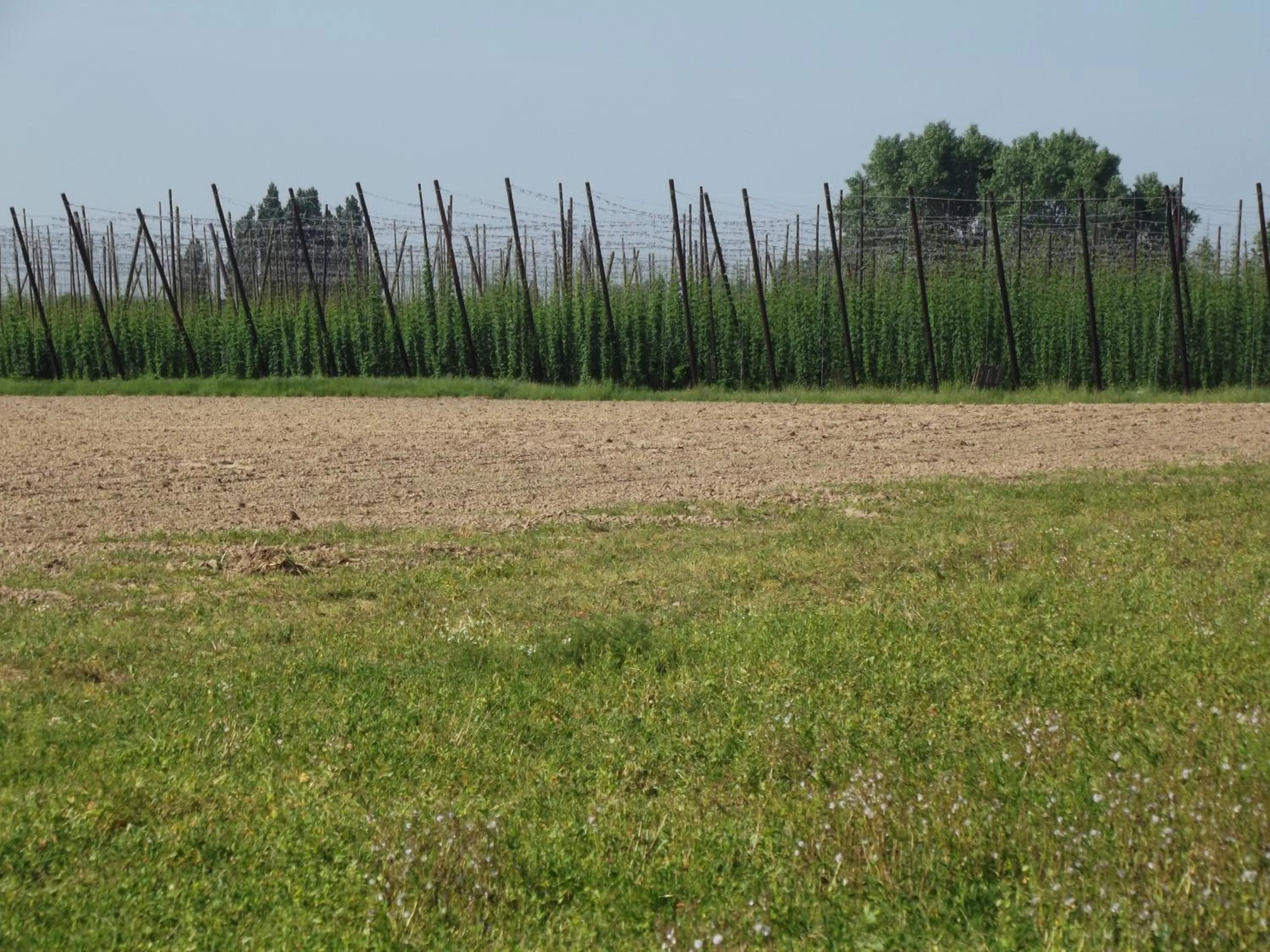 Natural landscape in Au Bonheur Frontalier