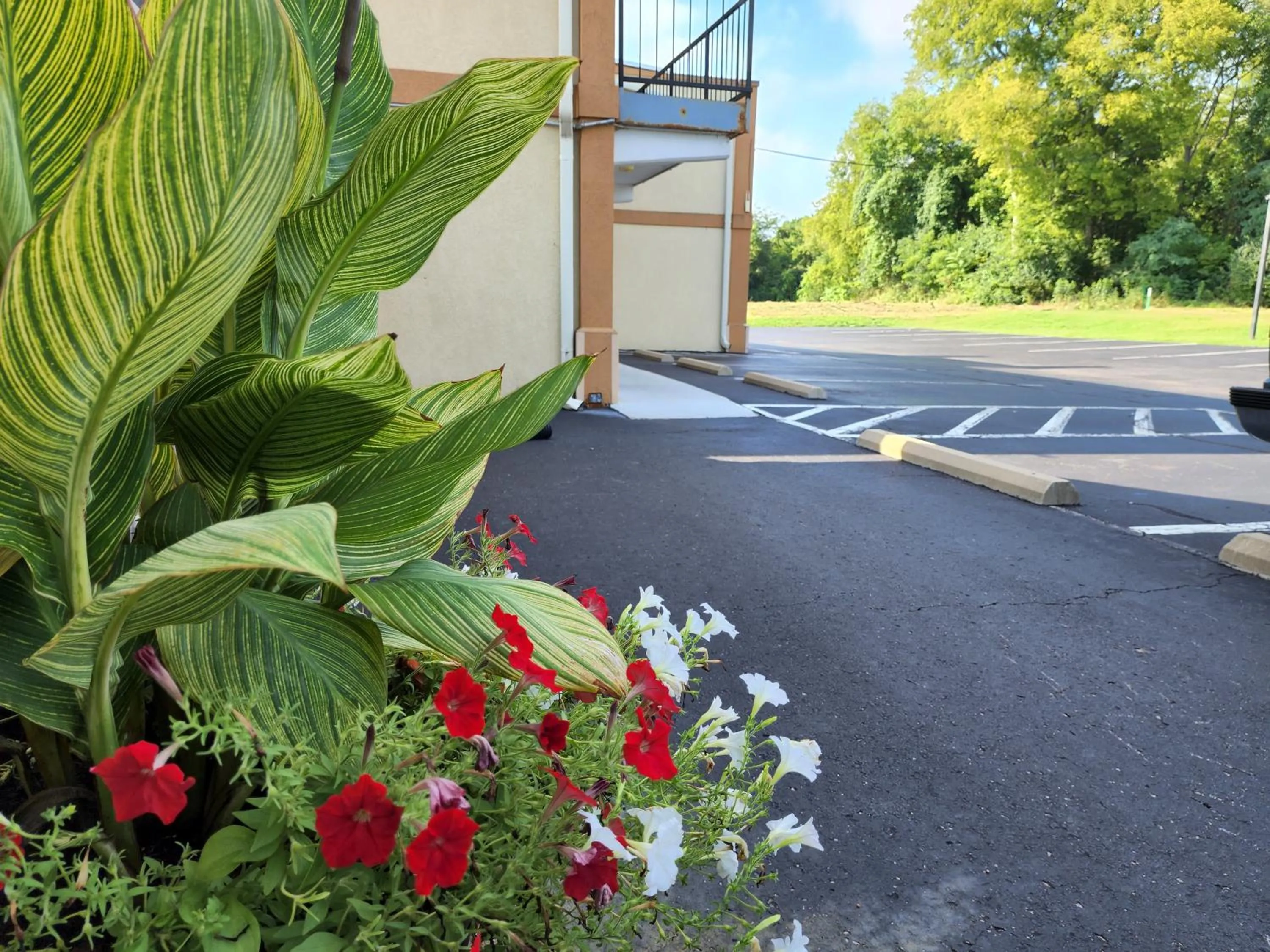 Property building in Drakes Creek Inn - formerly The Relax Inn