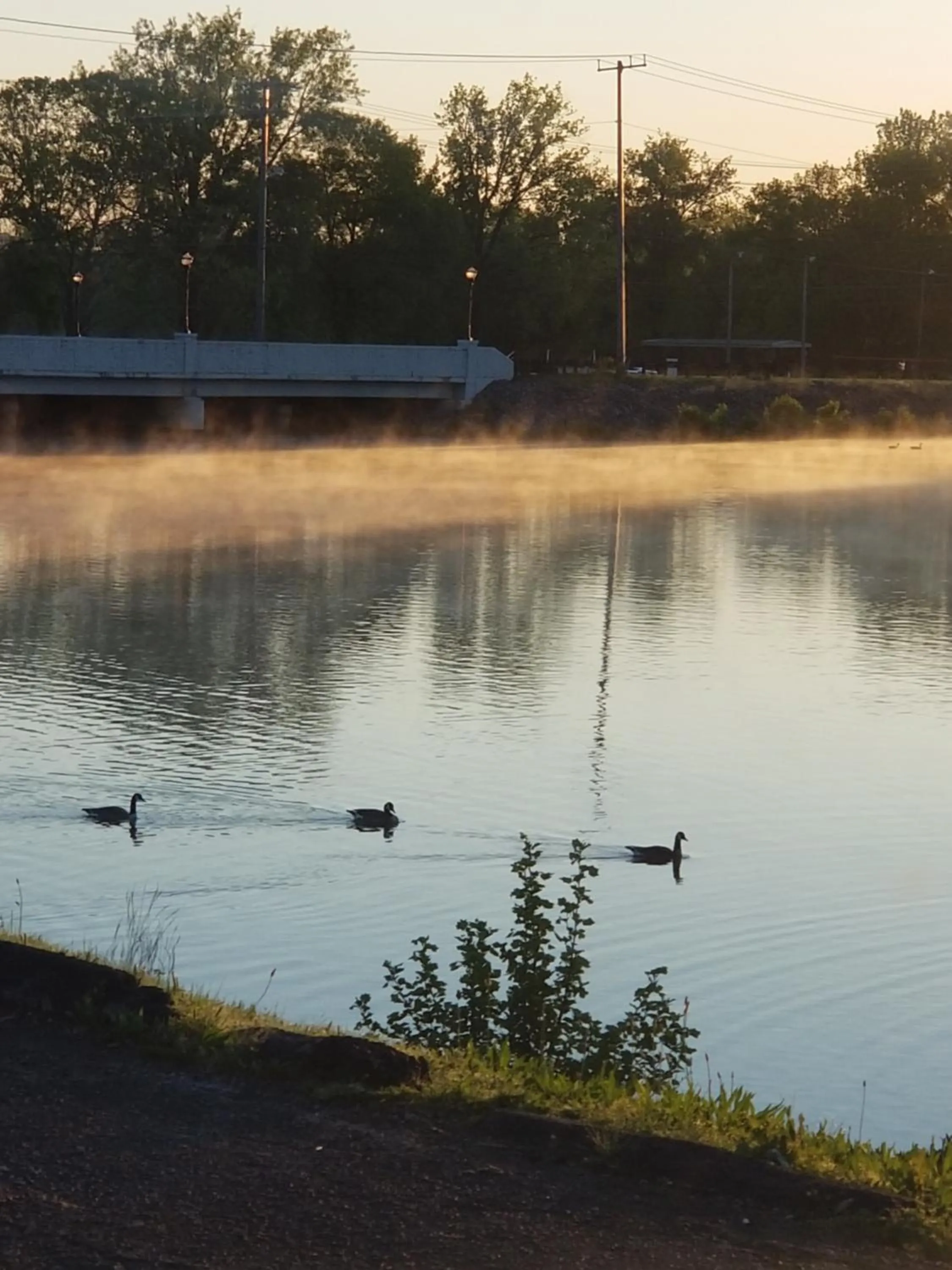 Natural landscape in Drakes Creek Inn - formerly The Relax Inn
