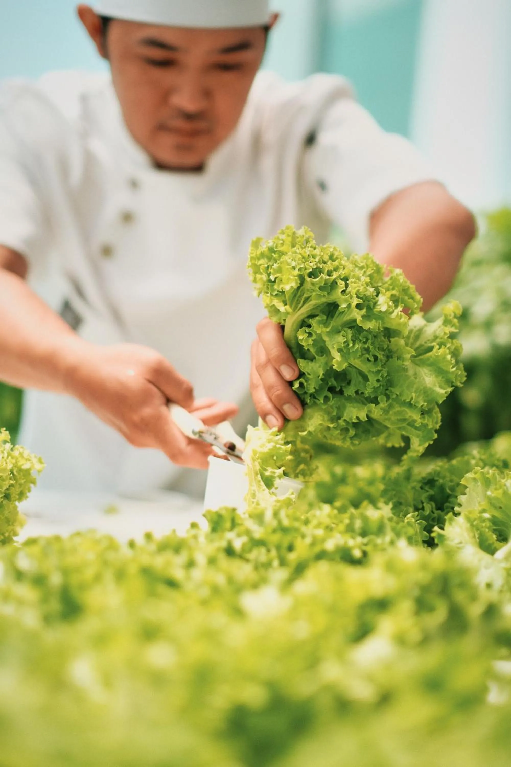 Restaurant/places to eat in Casa Veles Hotel