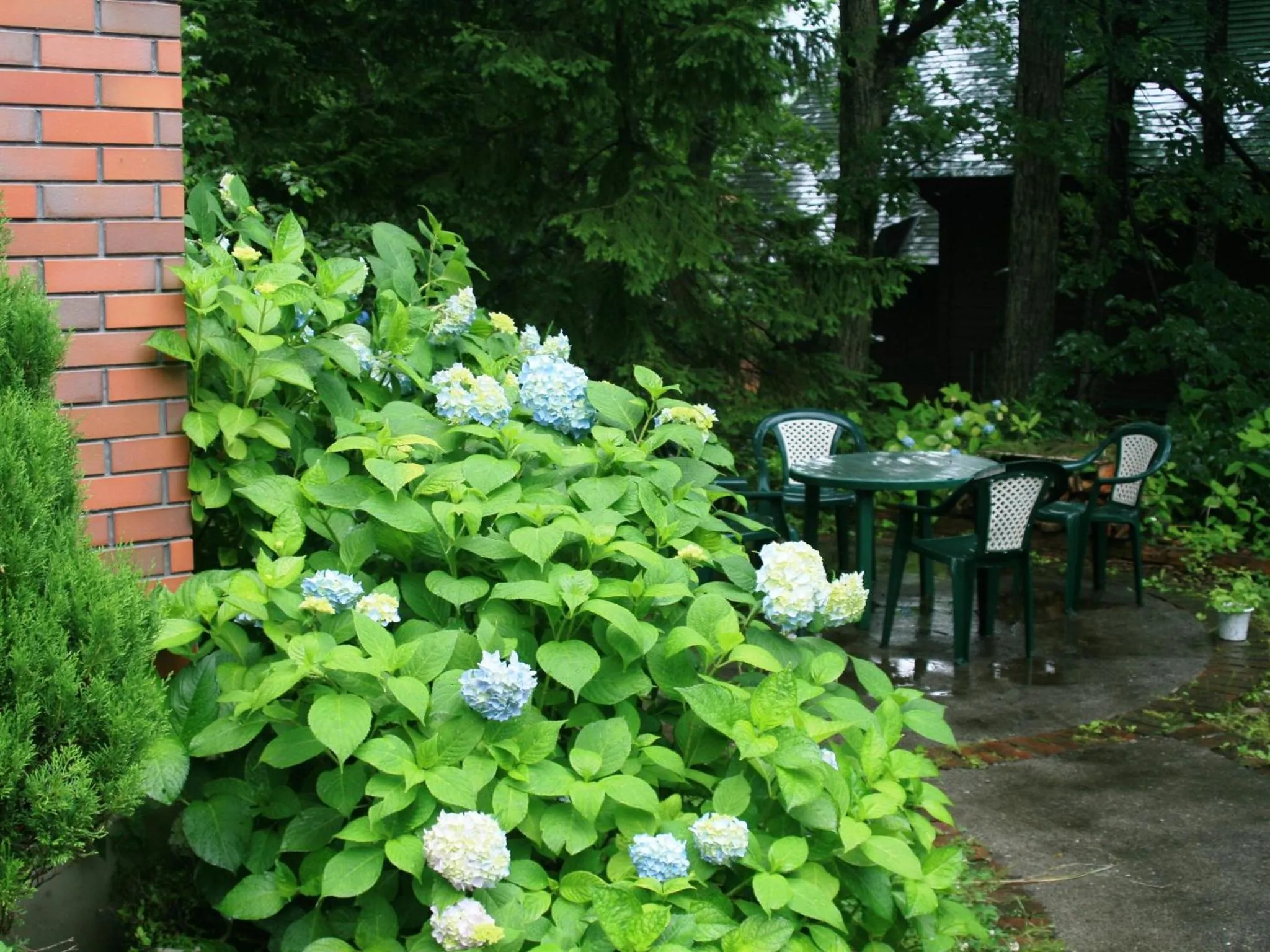 Off site in Hotel Abest Happo Aldea