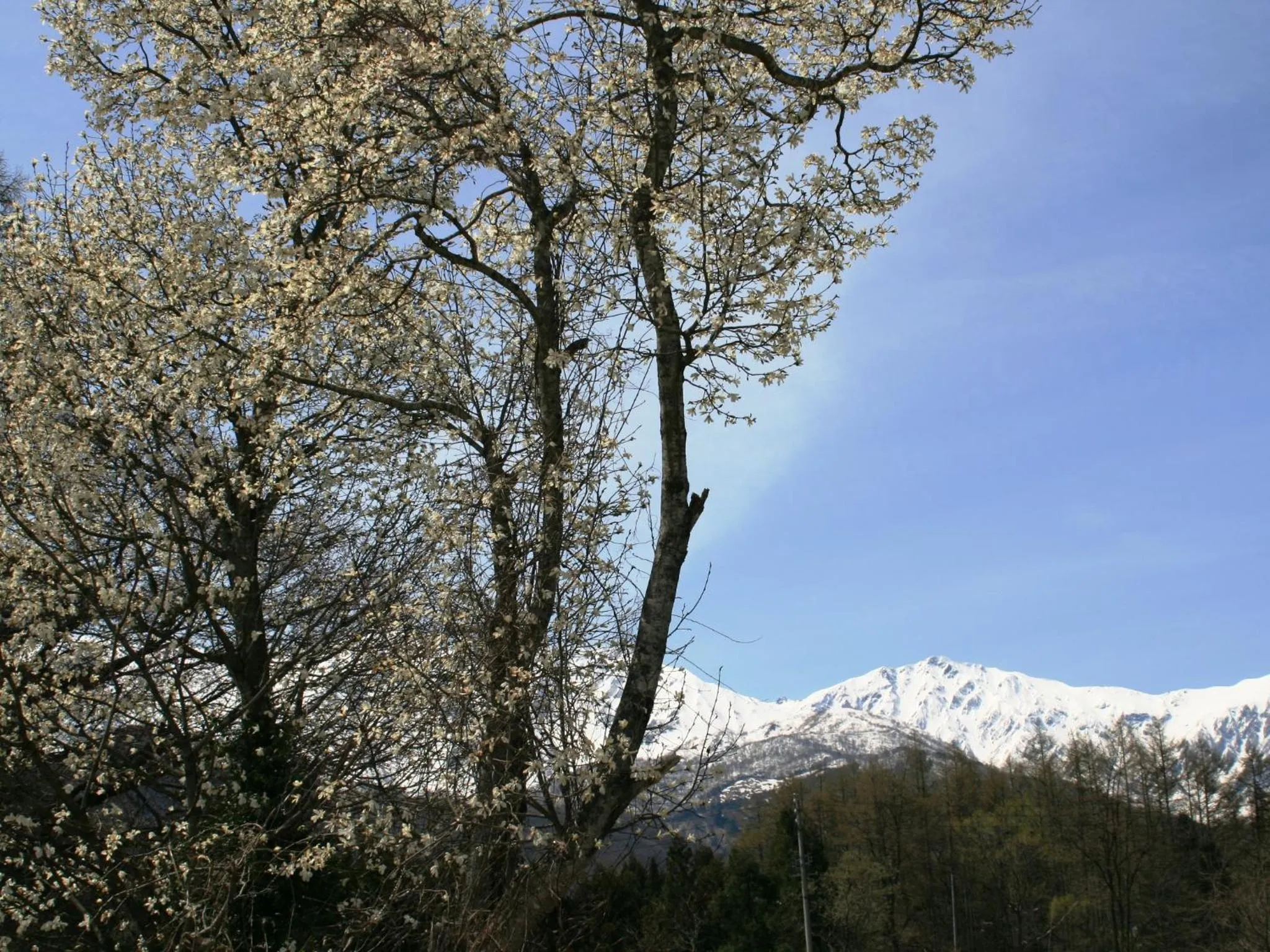 Off site in Hotel Abest Happo Aldea