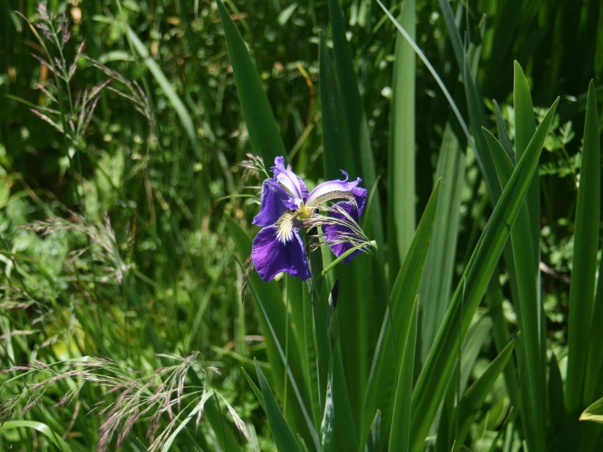 Off site in Hotel Abest Happo Aldea