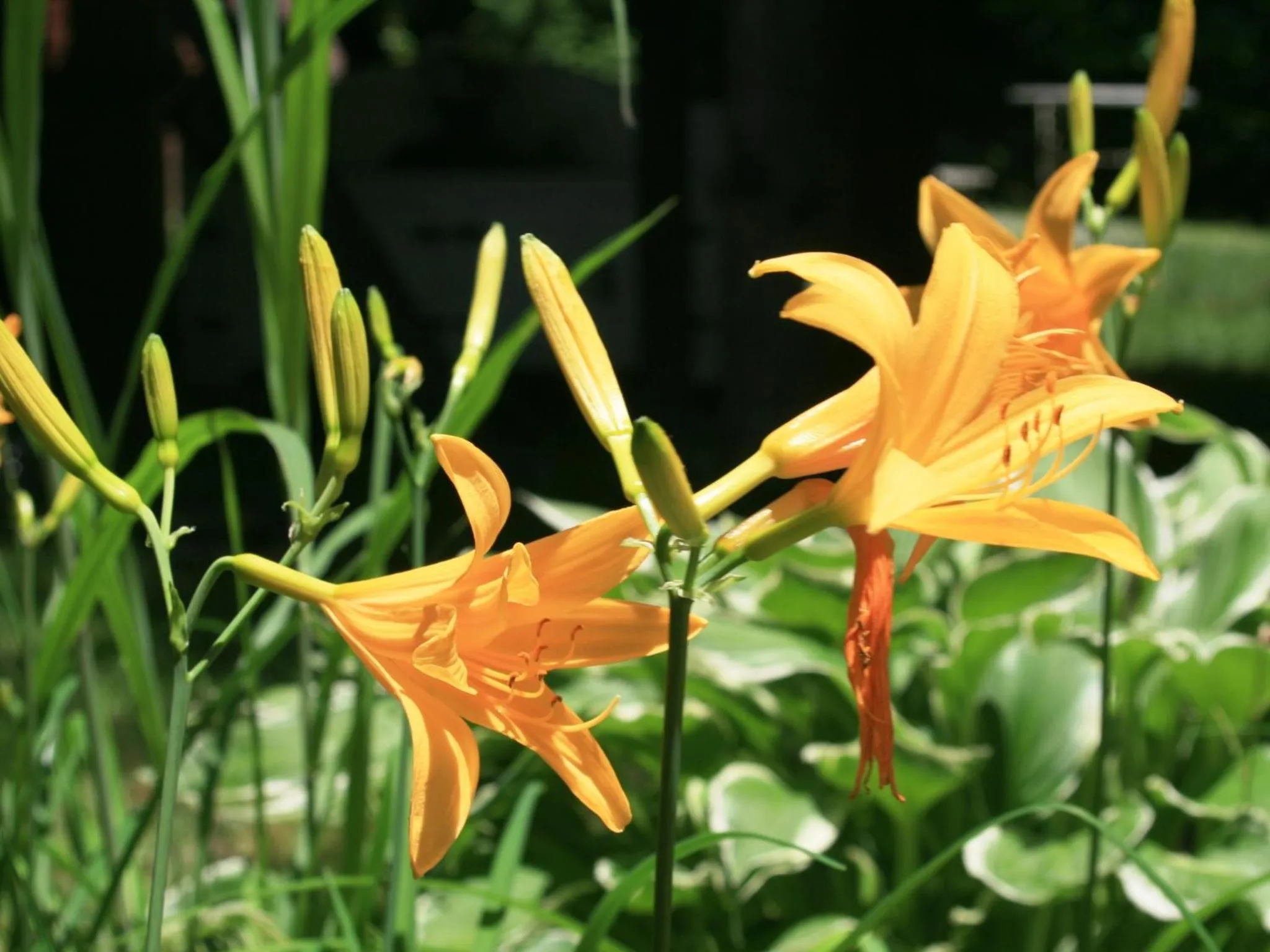 Off site in Hotel Abest Happo Aldea