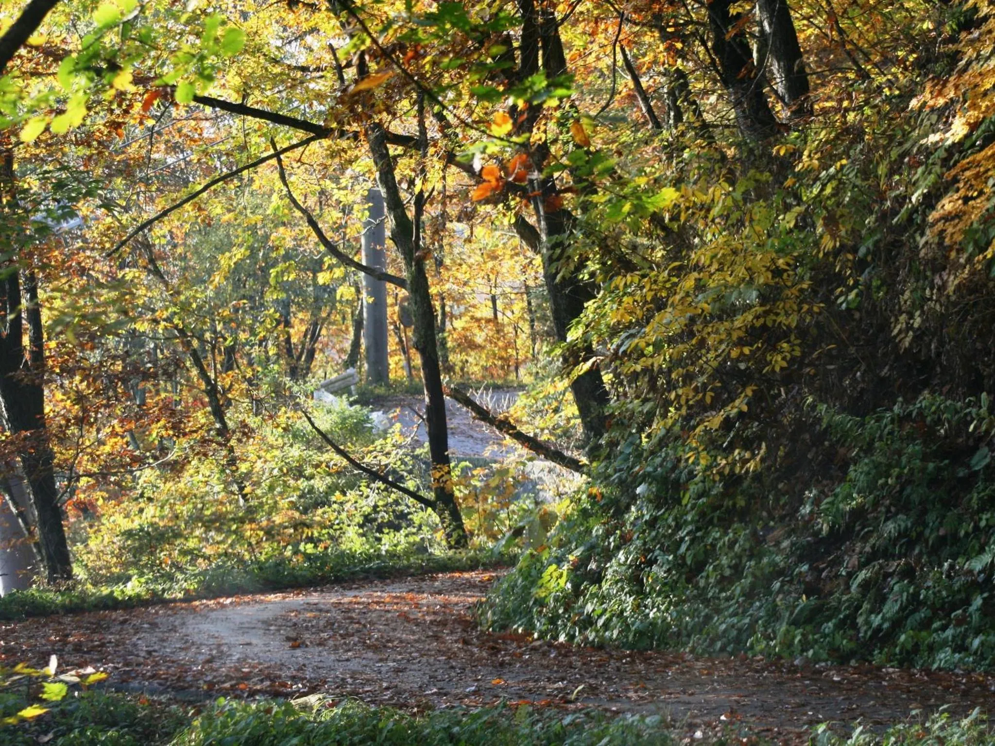 Off site in Hotel Abest Happo Aldea