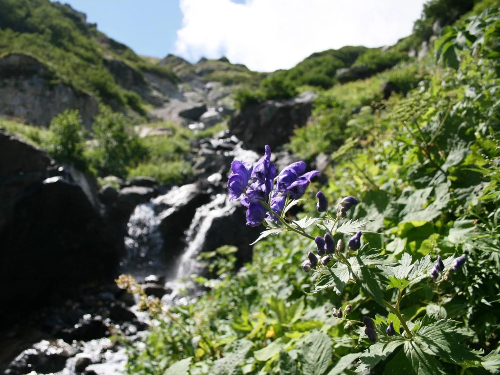 Off site in Hotel Abest Happo Aldea