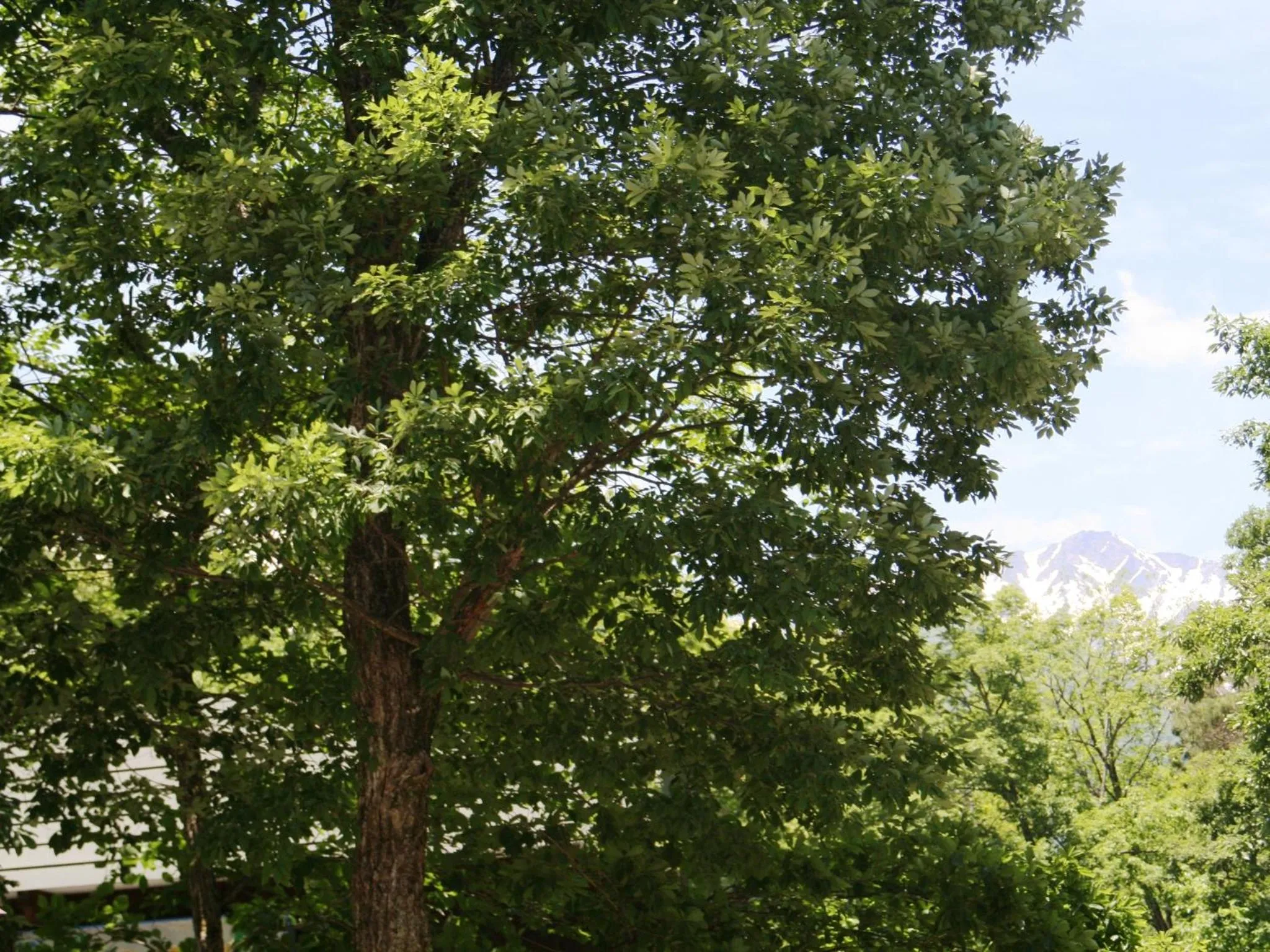 Off site in Hotel Abest Happo Aldea