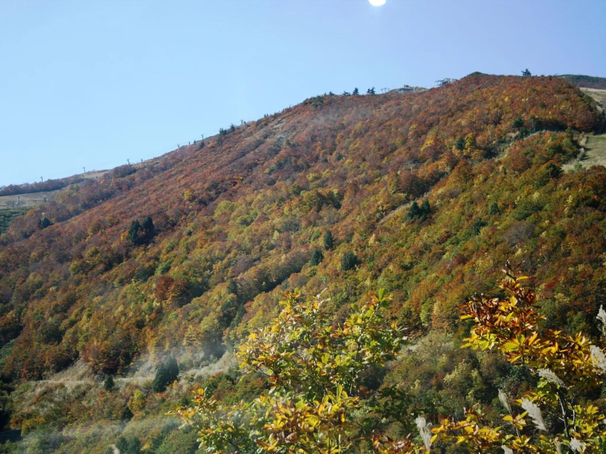 Off site in Hotel Abest Happo Aldea