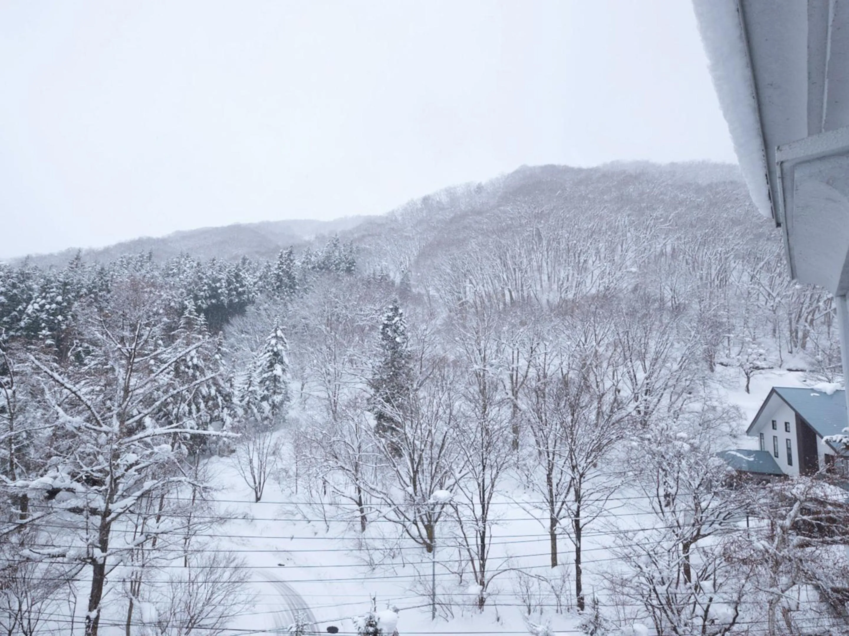 Winter in Hotel Abest Happo Aldea