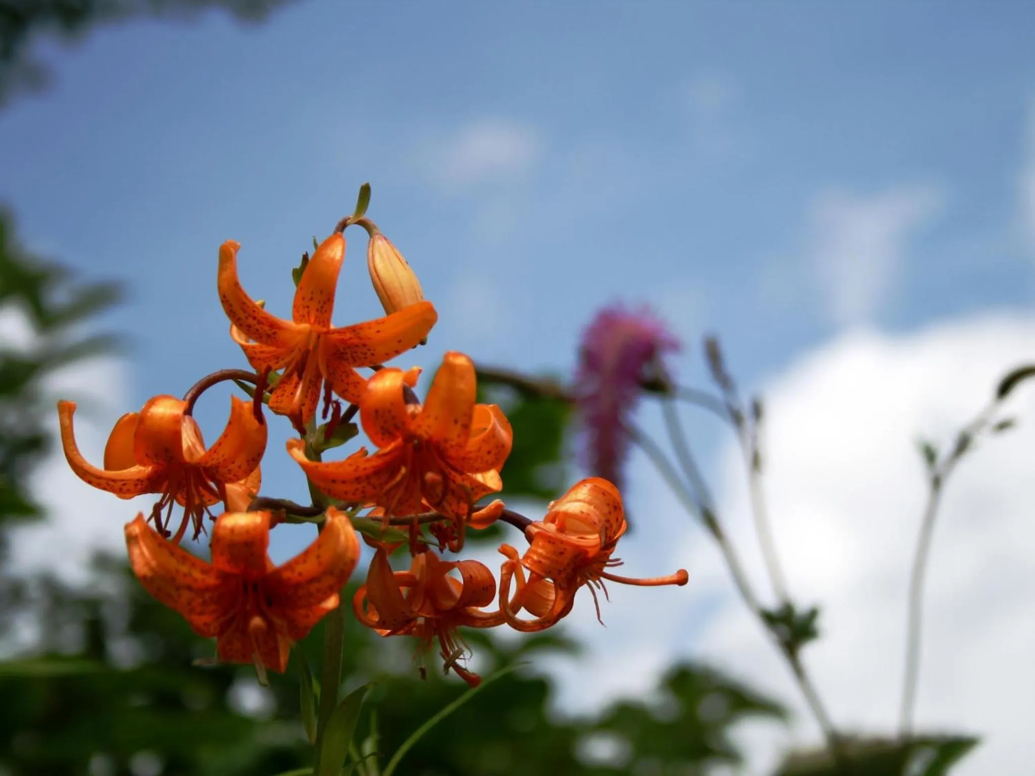 Off site in Hotel Abest Happo Aldea