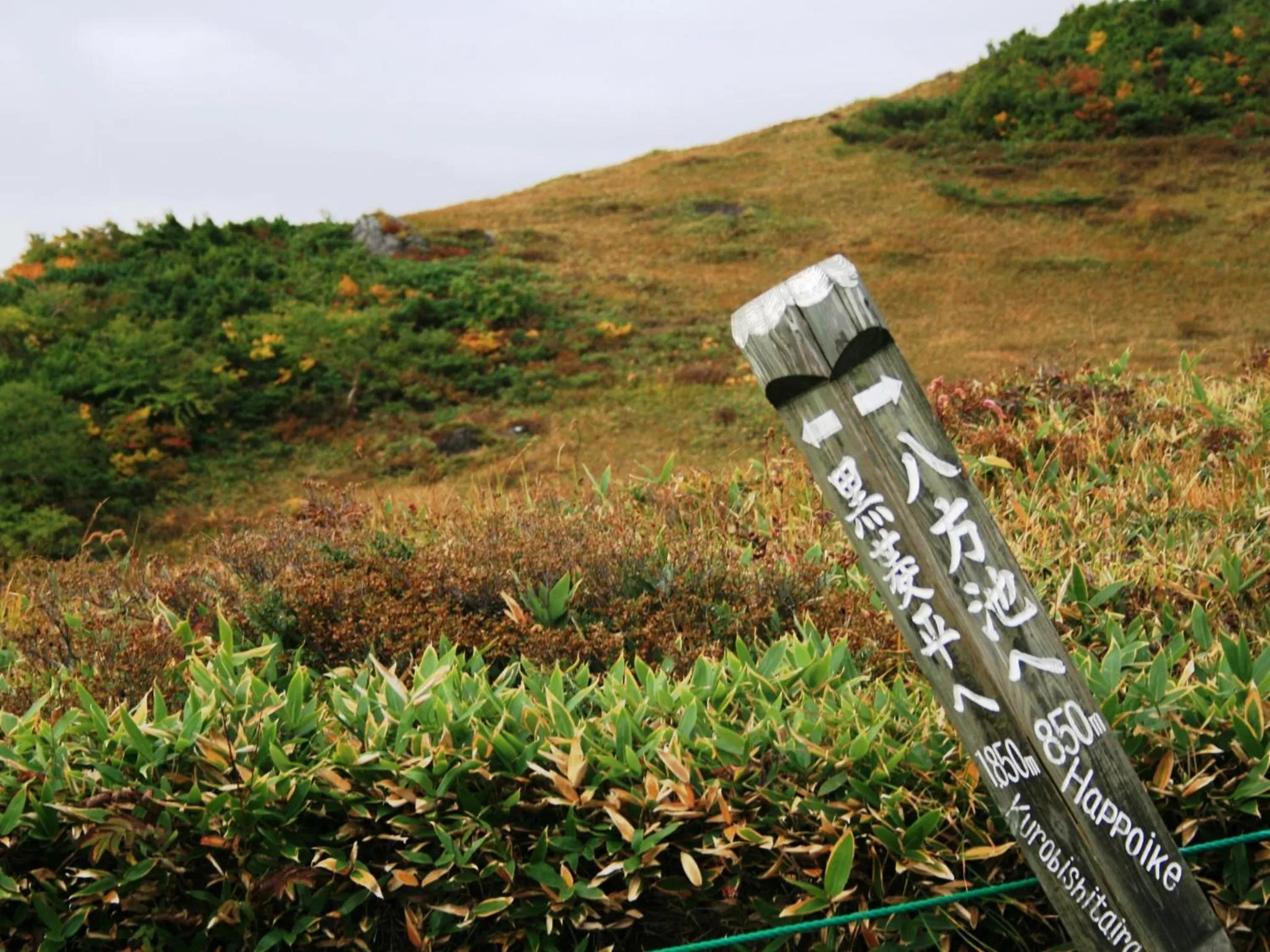 Off site in Hotel Abest Happo Aldea