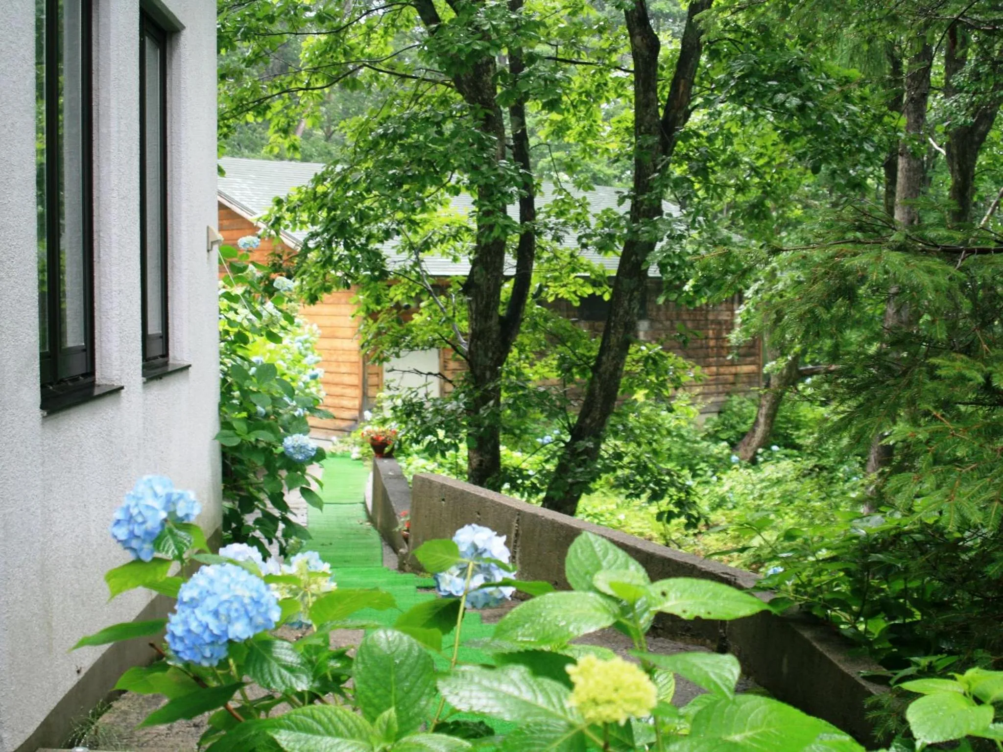 Off site in Hotel Abest Happo Aldea