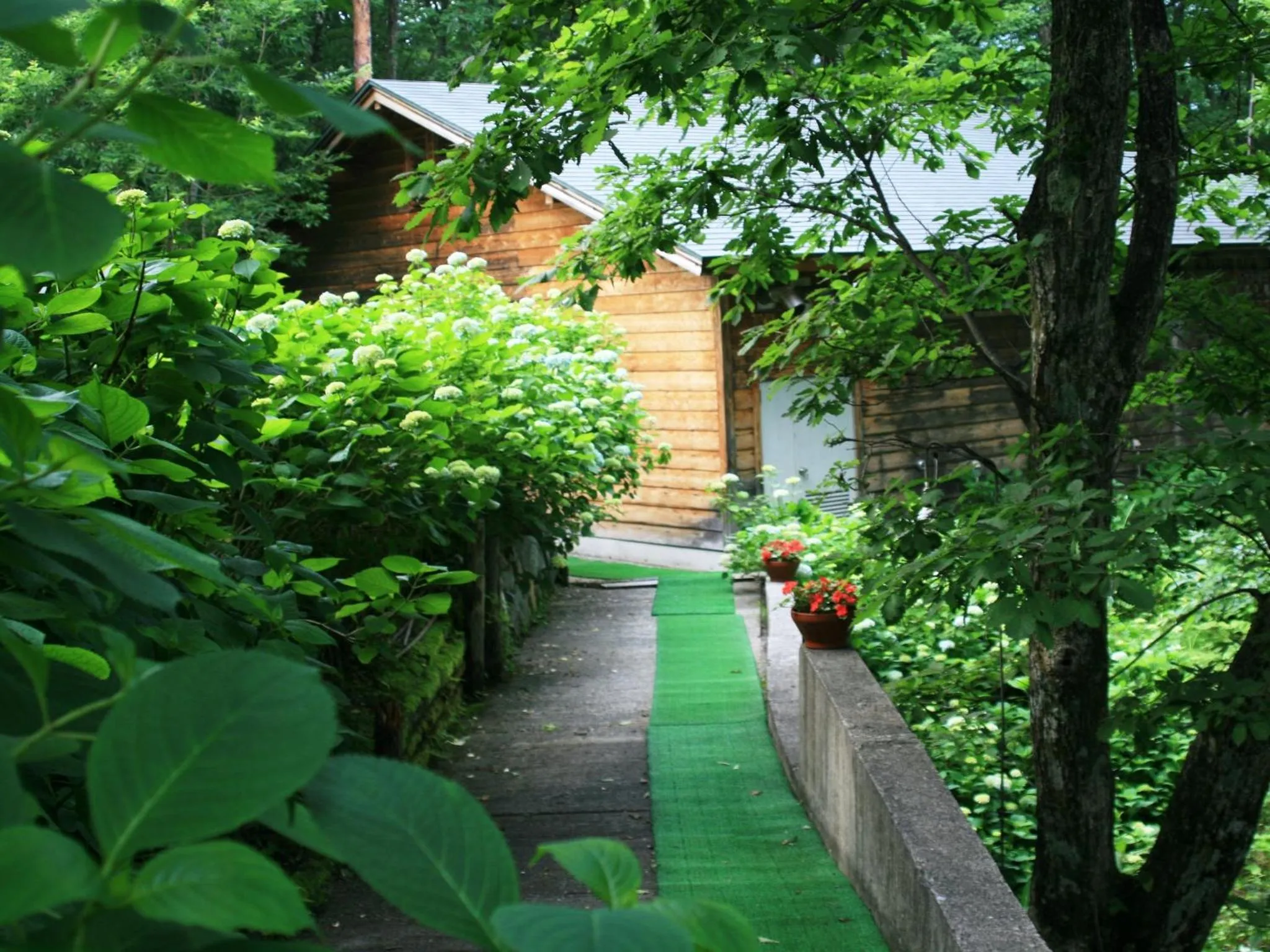 Off site in Hotel Abest Happo Aldea