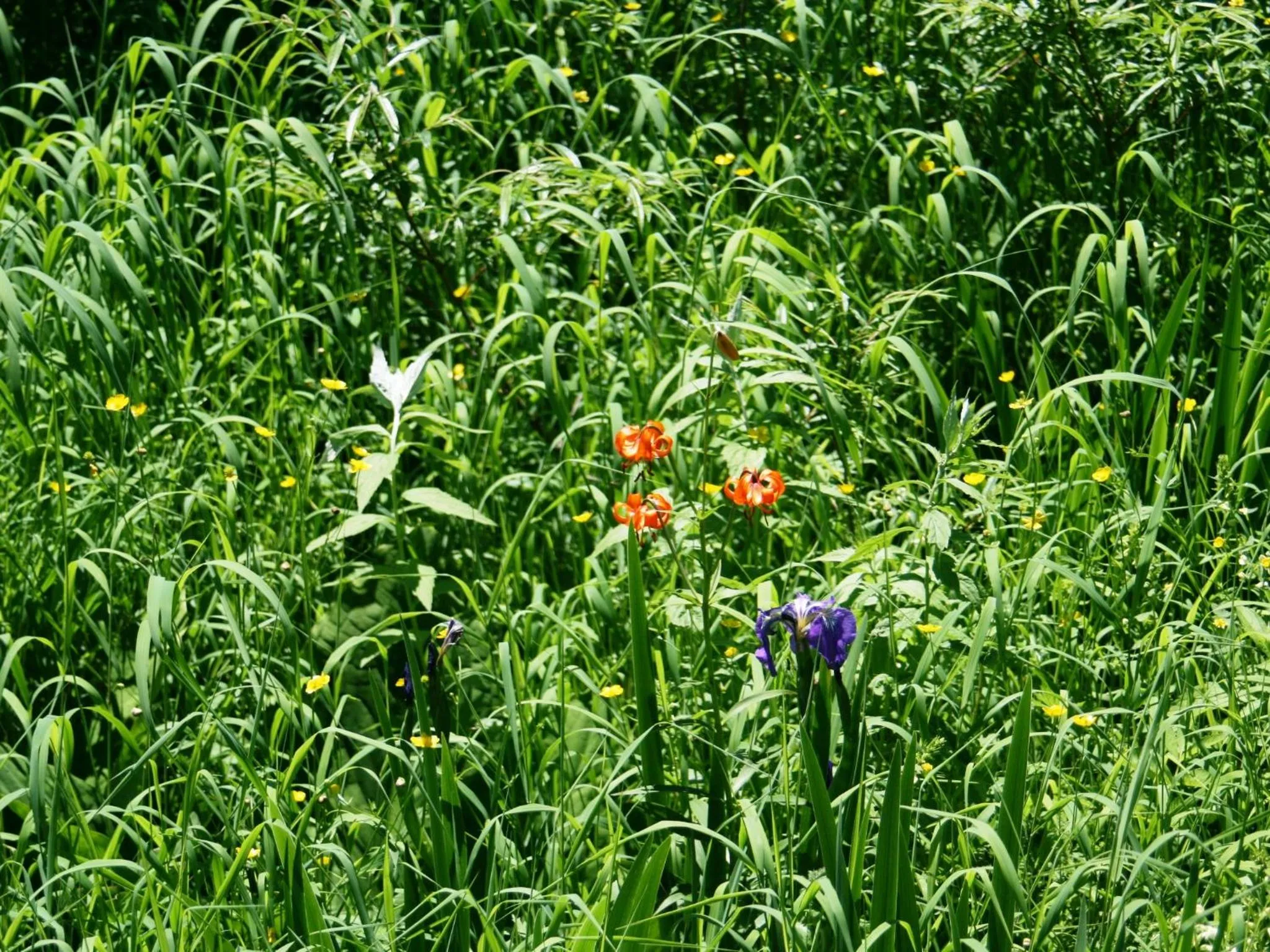 Off site in Hotel Abest Happo Aldea